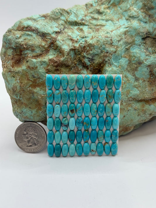 5x10 Oval Calibrated Cabs