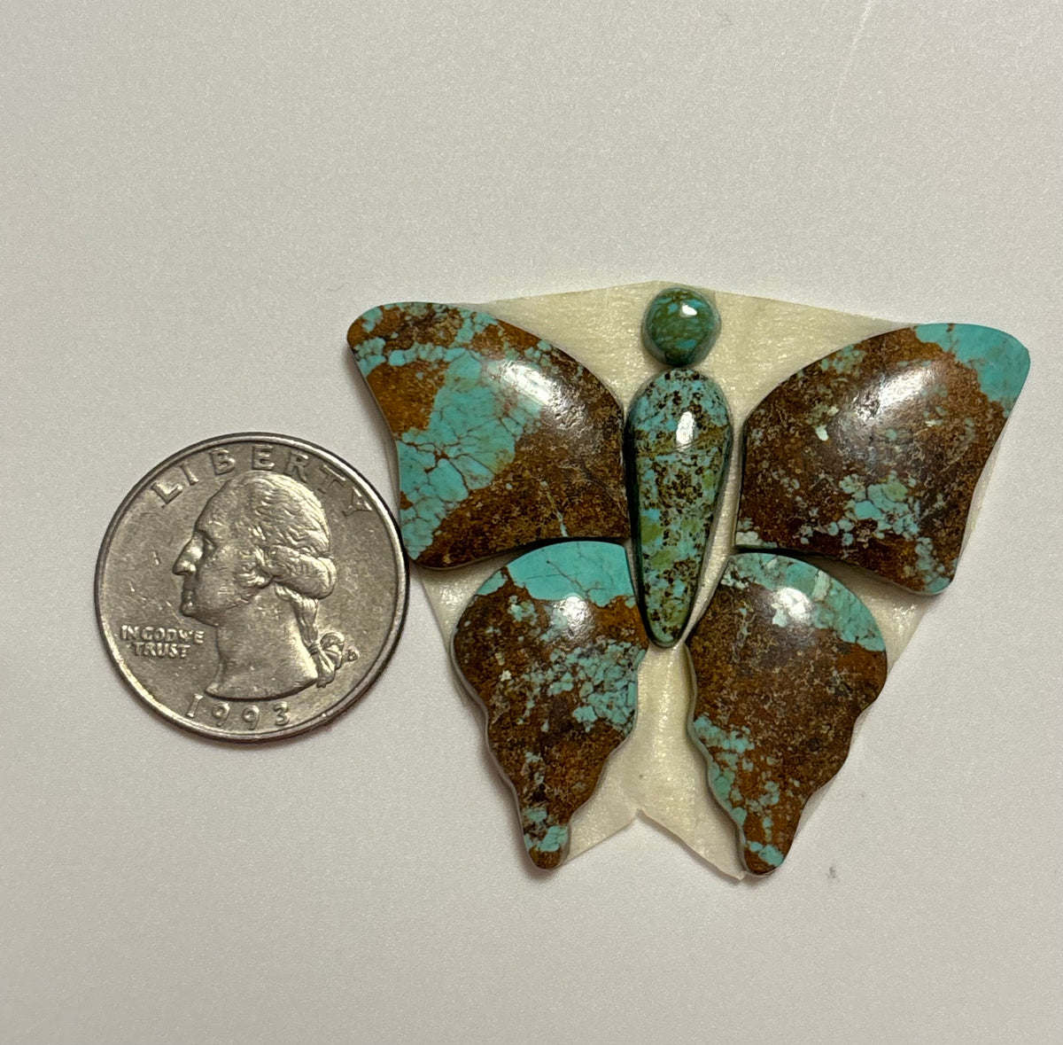 Butterfly Set 24