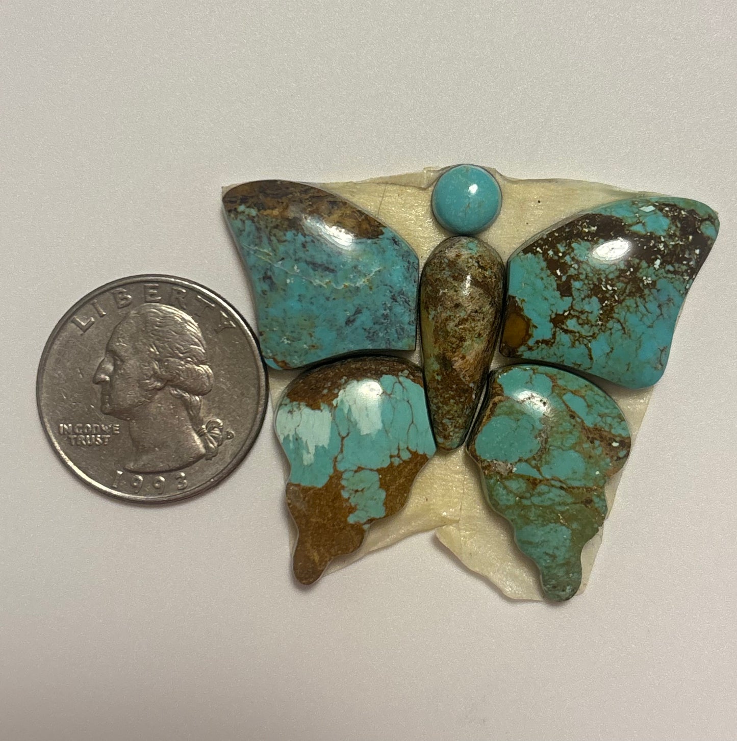 Butterfly Set 22