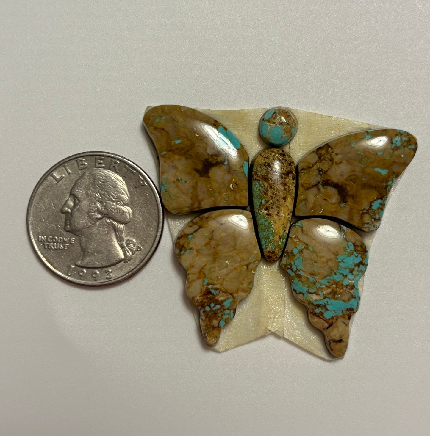 Butterfly Set 35