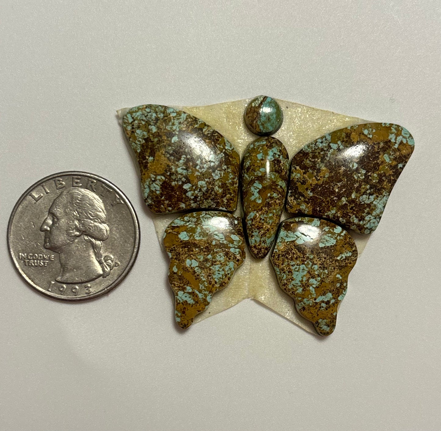 Butterfly Set 28