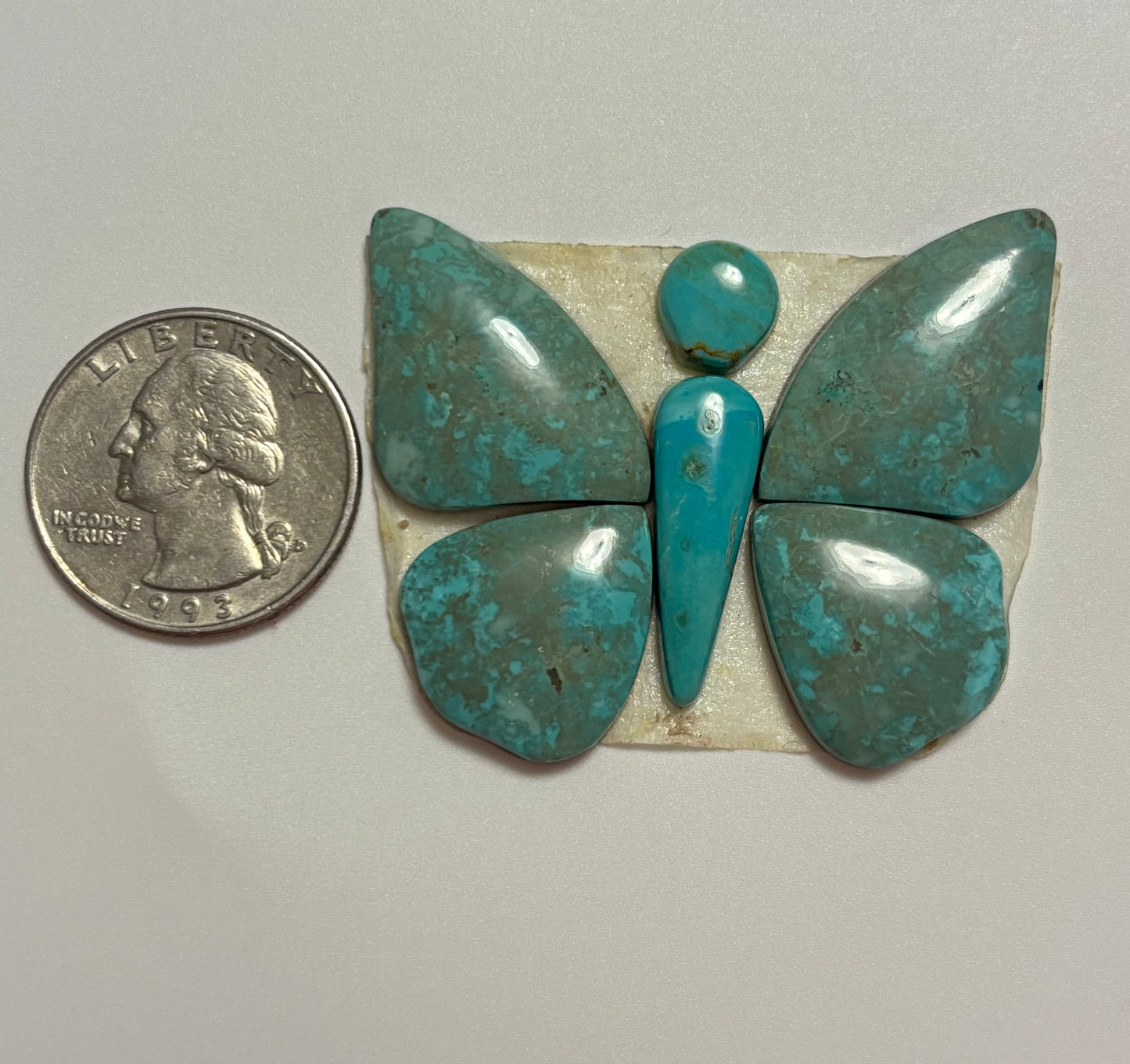 Butterfly Set 34