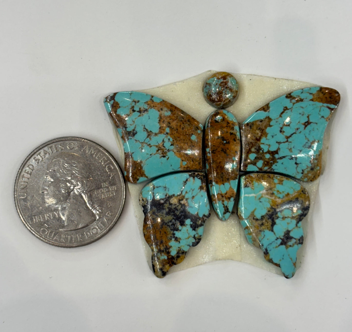 Butterfly Set 4
