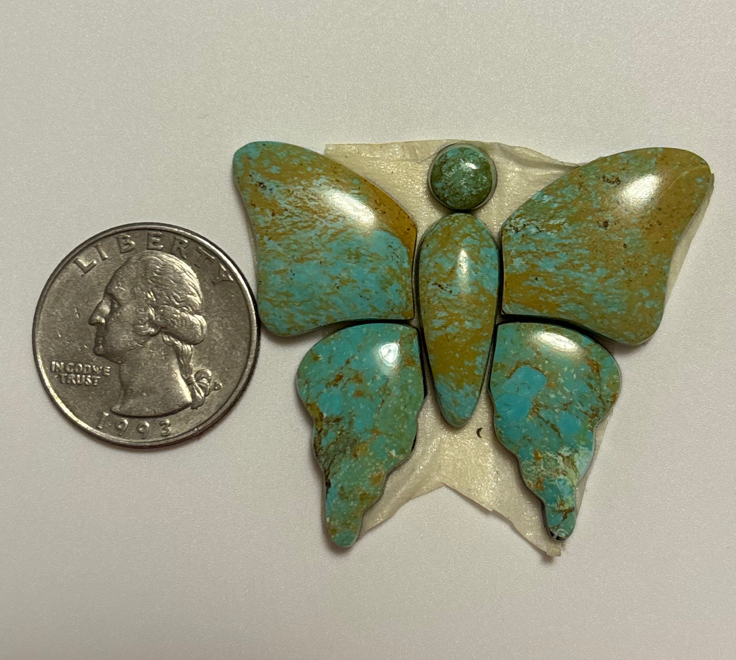 Butterfly Set 26