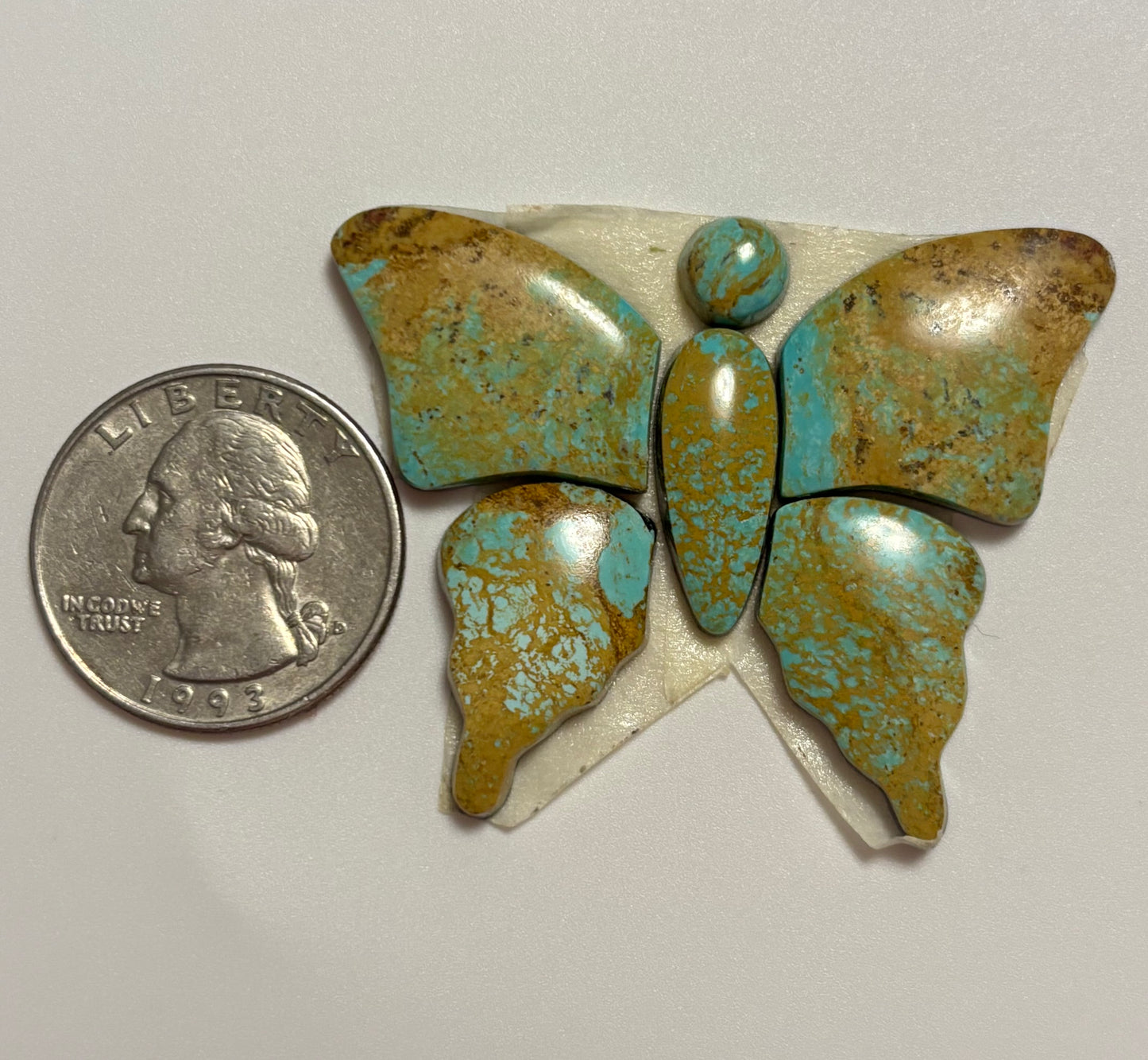 Butterfly Set 32