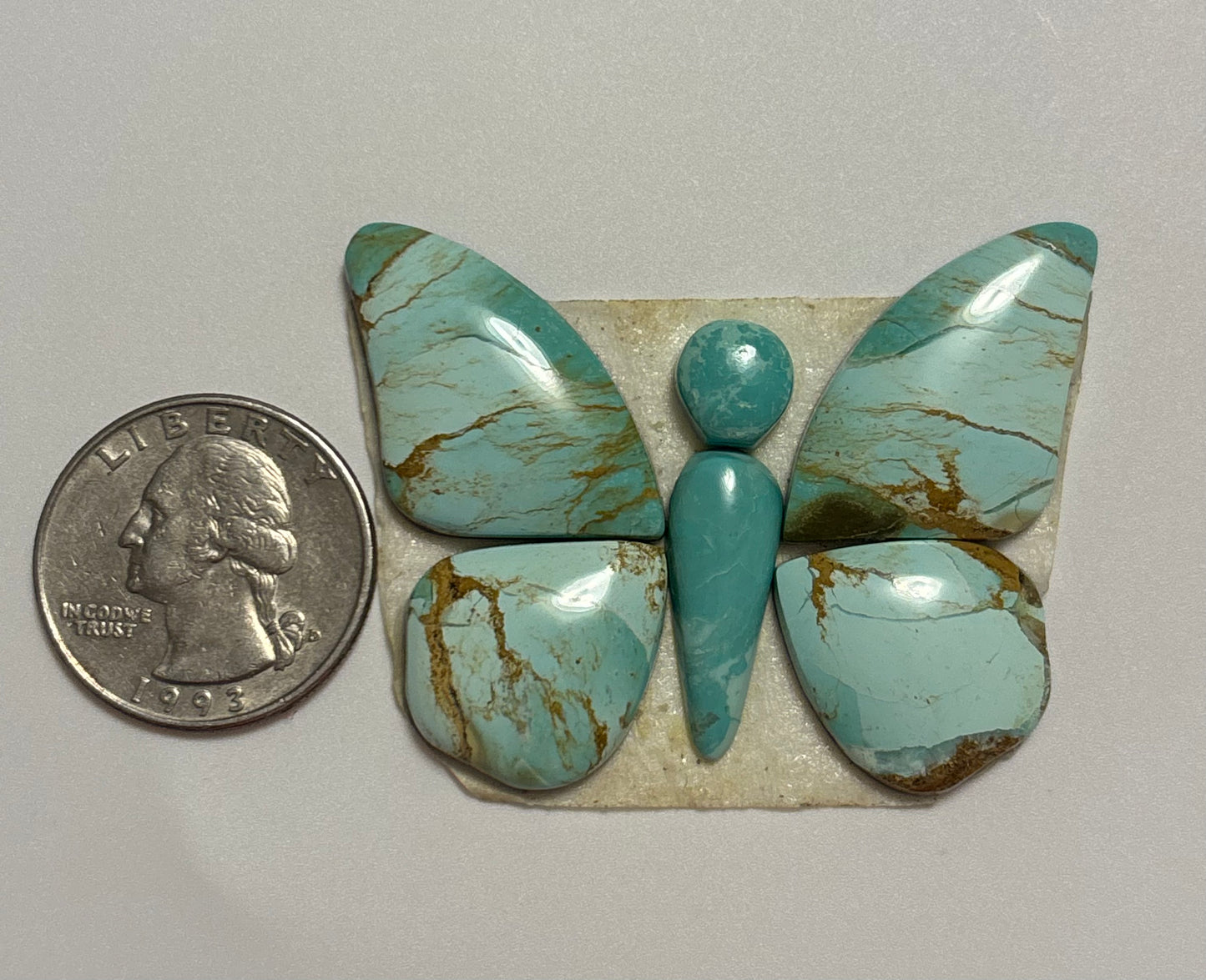Butterfly Set 30