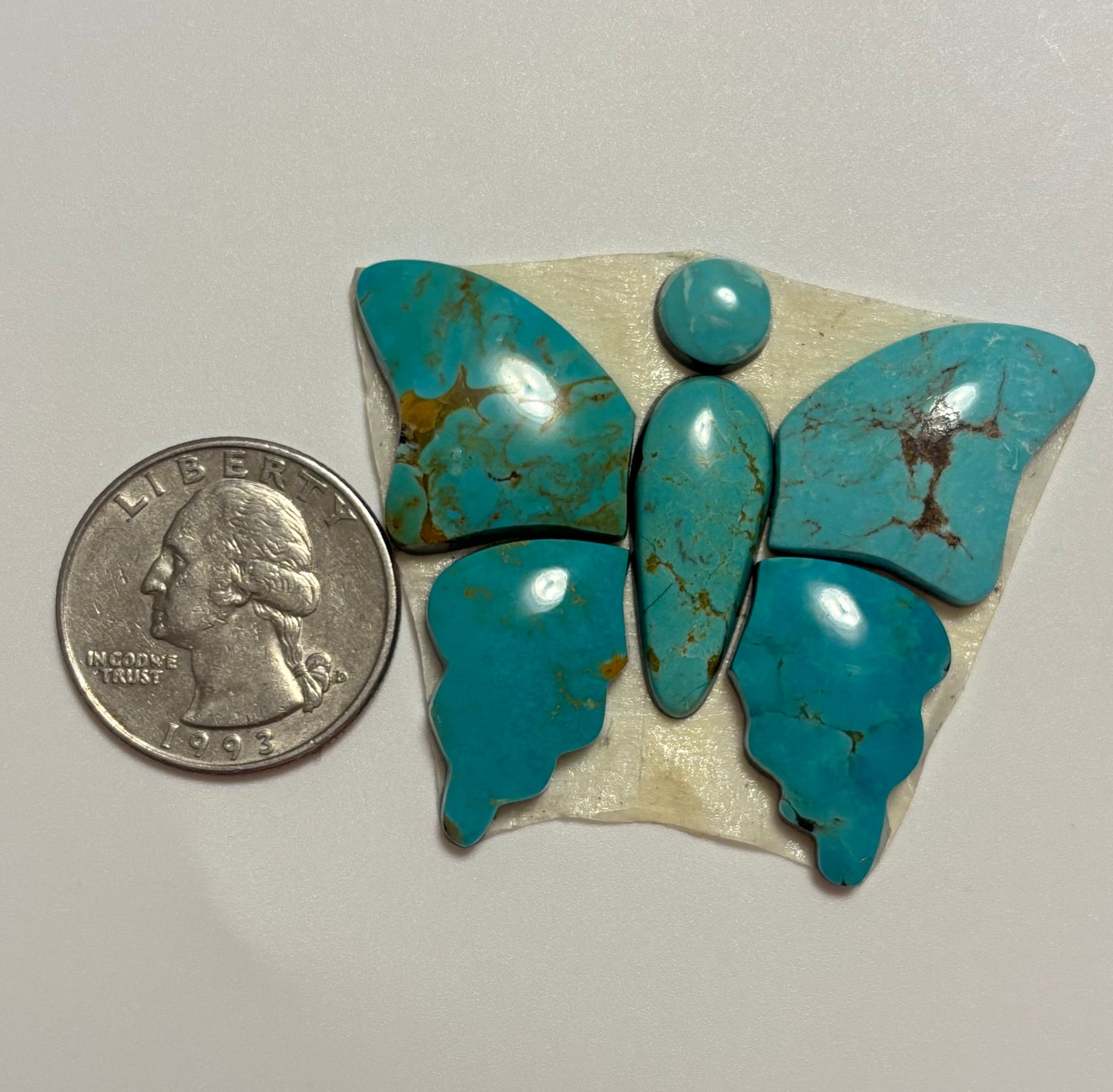 Butterfly Set 33
