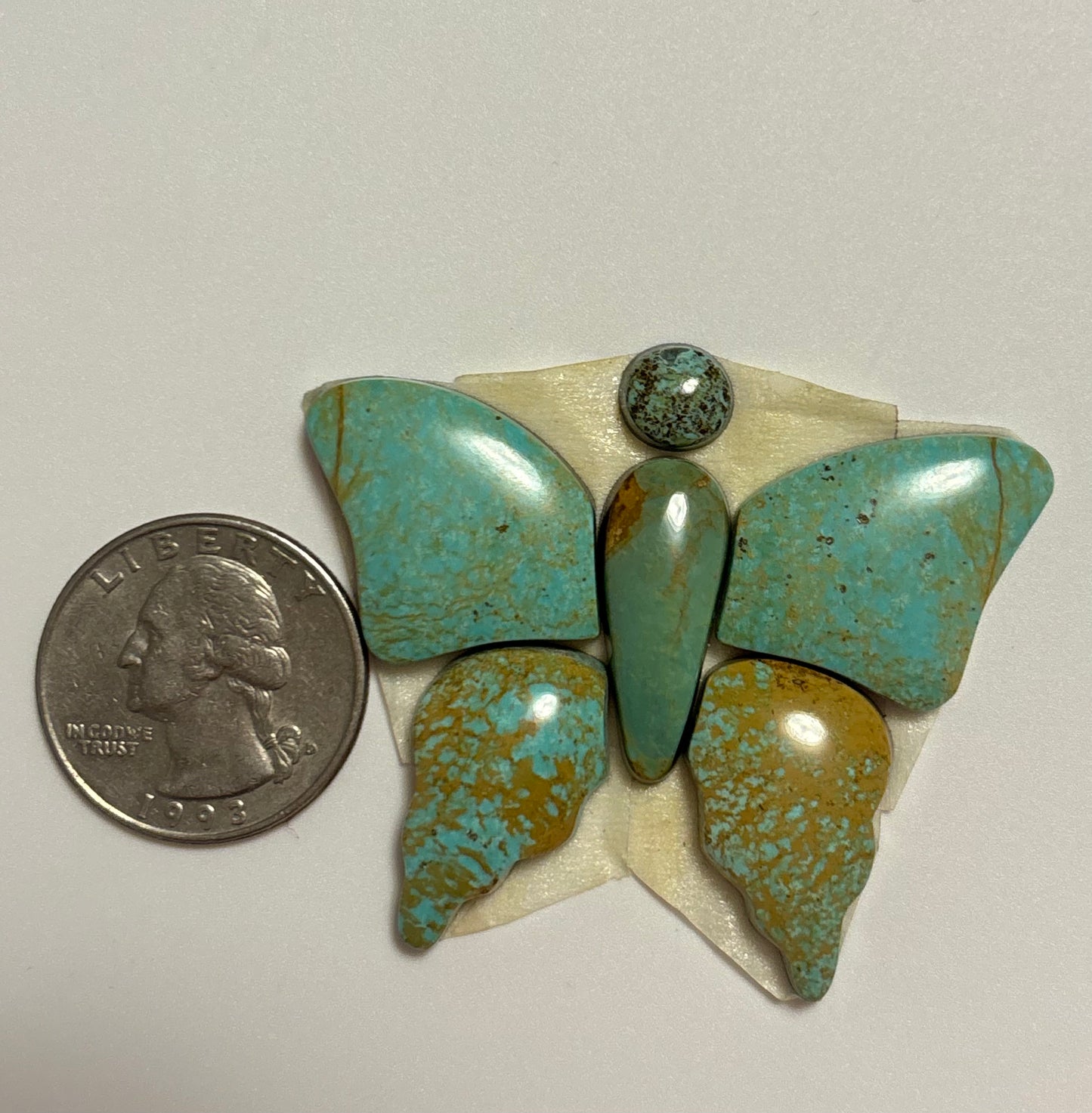 Butterfly Set 8