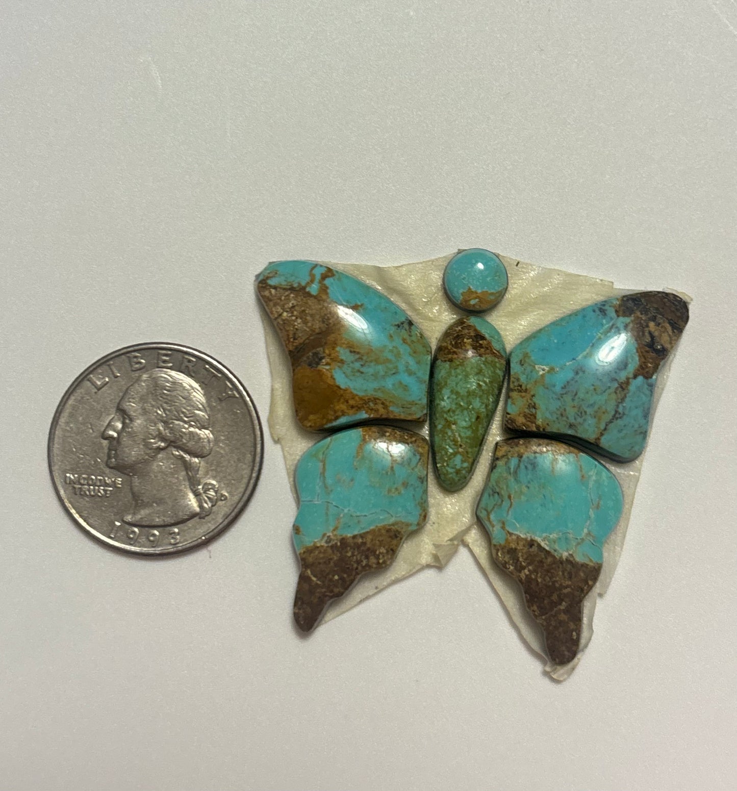 Butterfly Set 16
