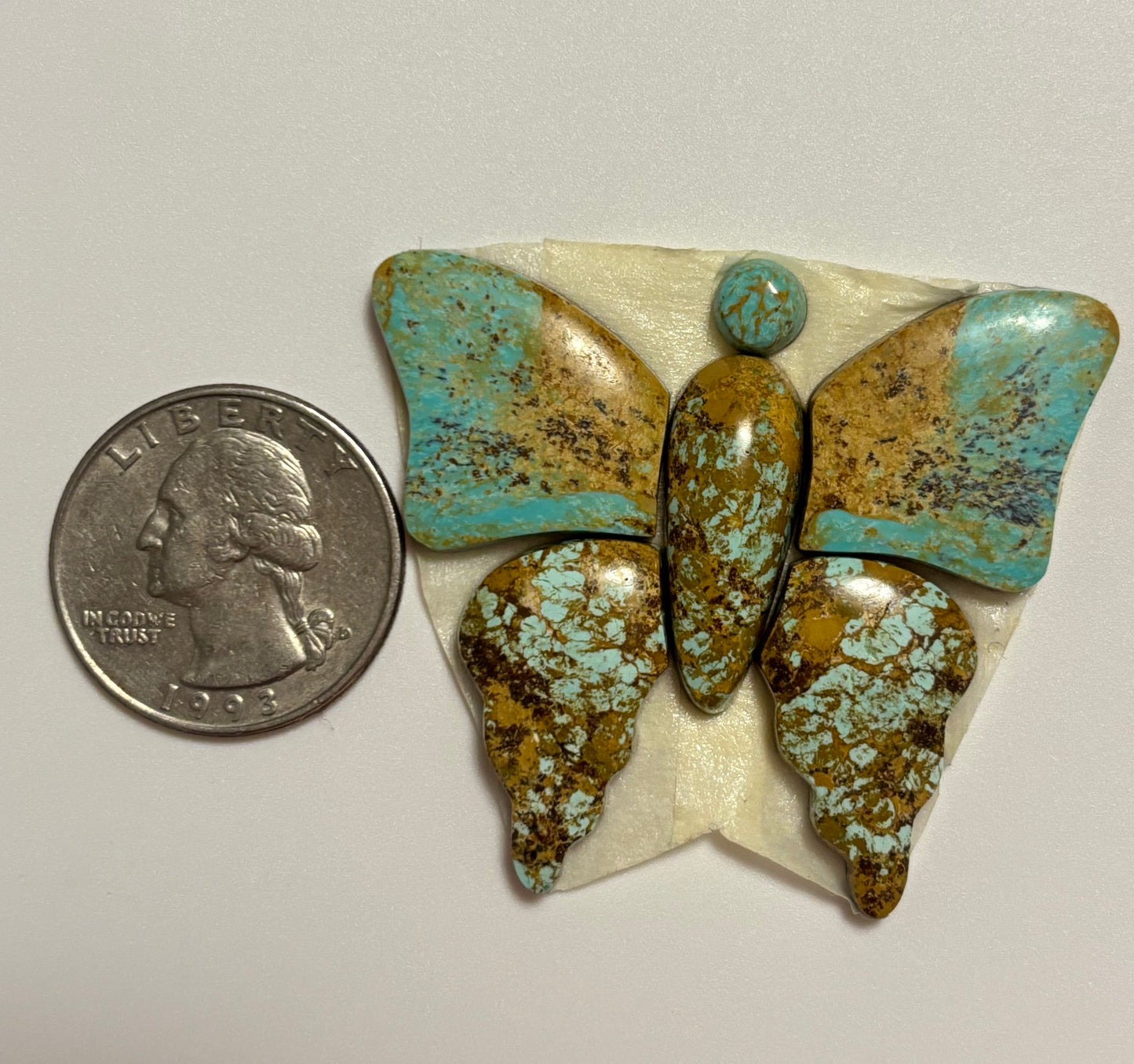 Butterfly Set 6