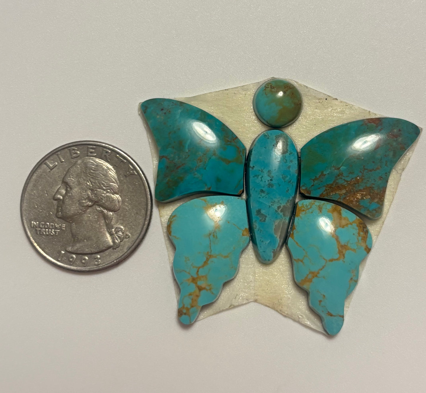 Butterfly Set 21