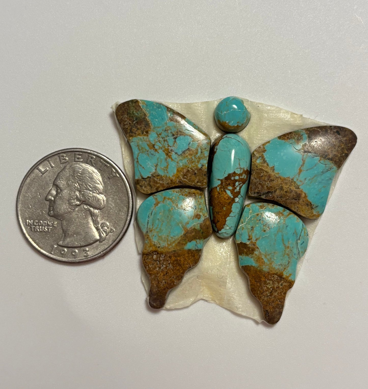 Butterfly Set 31