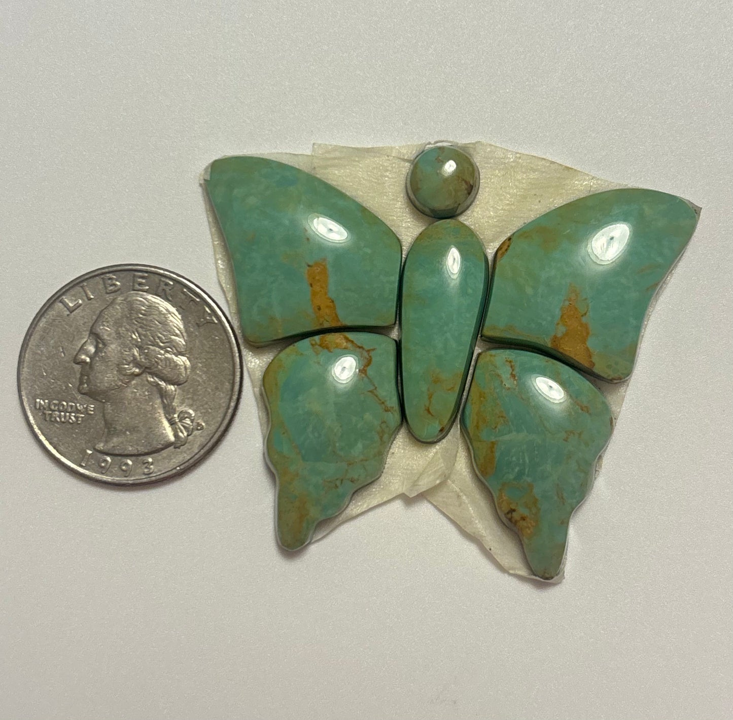 Butterfly Set 19