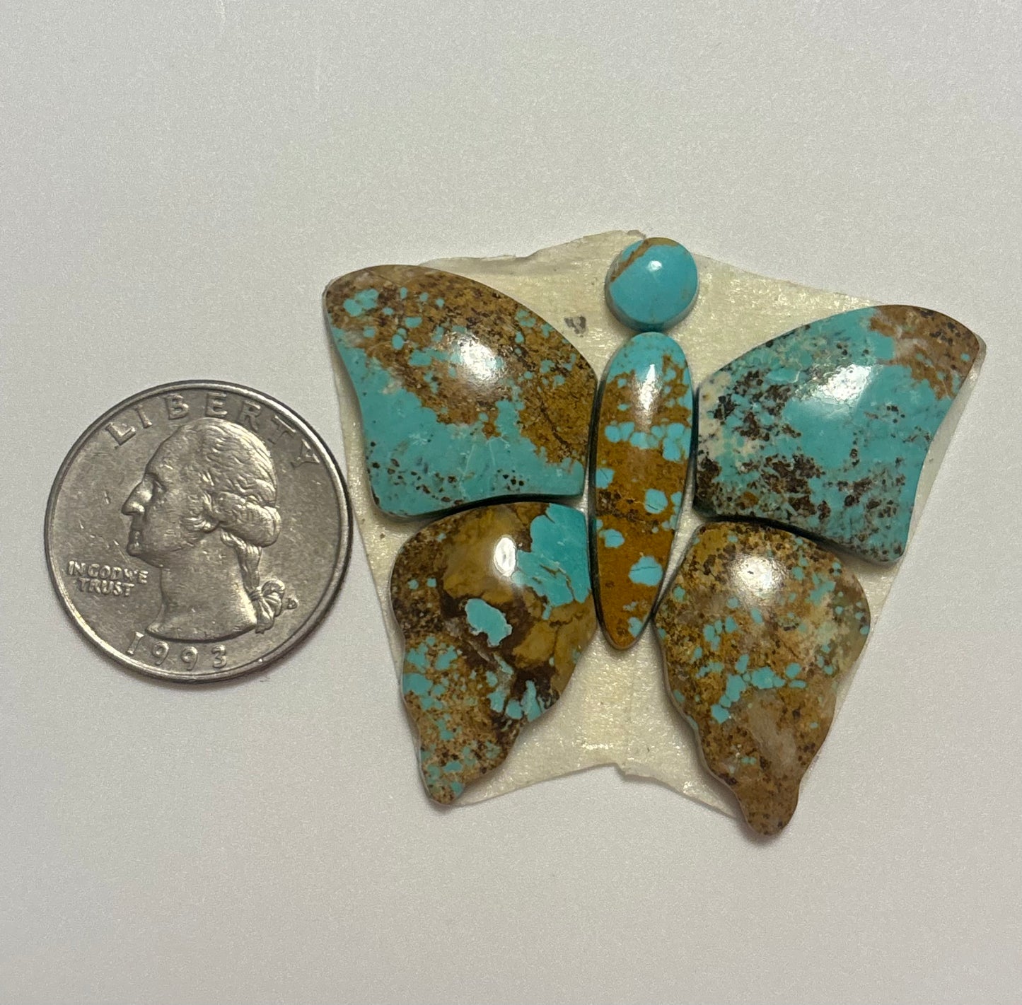 Butterfly Set 15