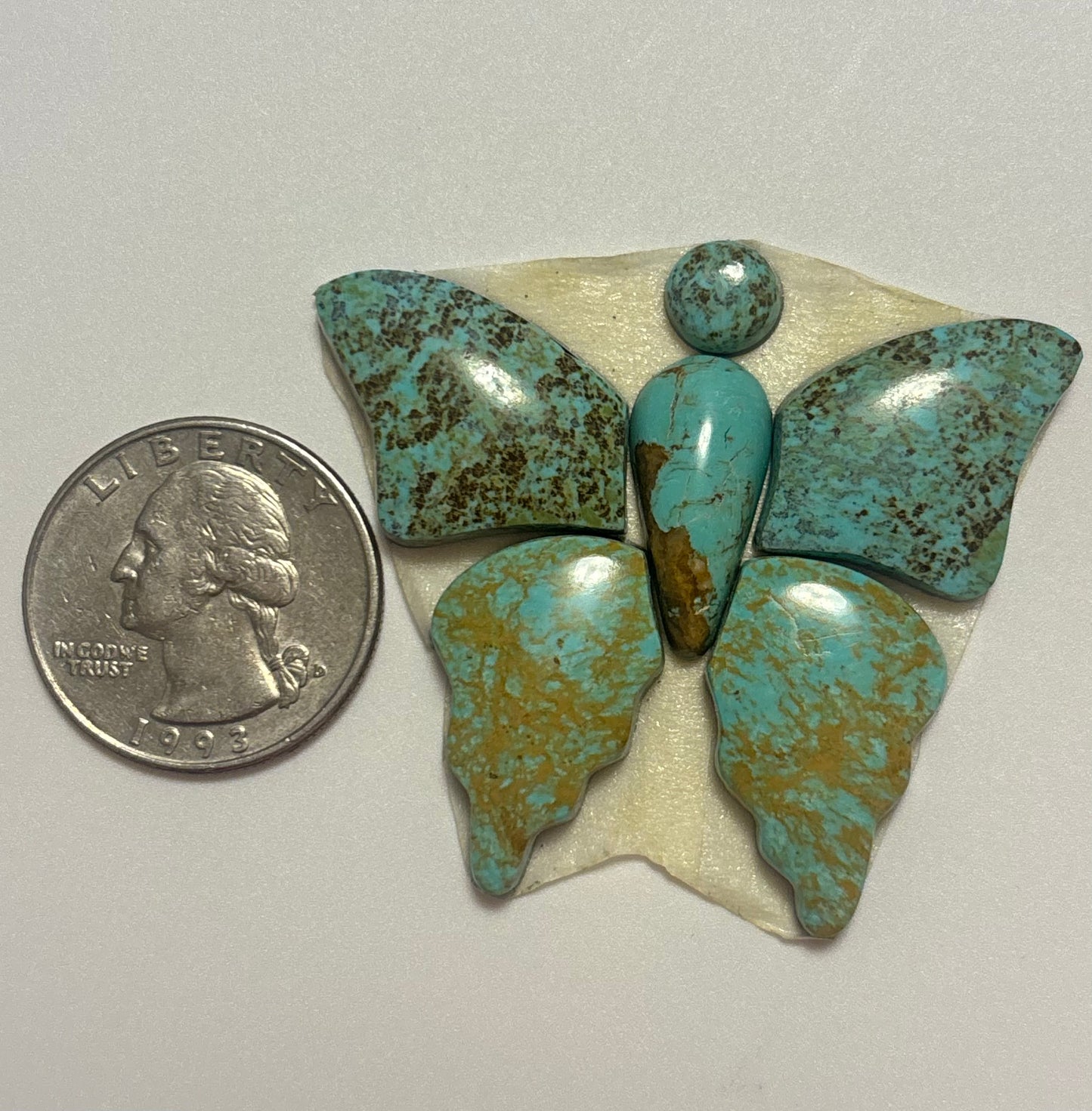 Butterfly Set 20