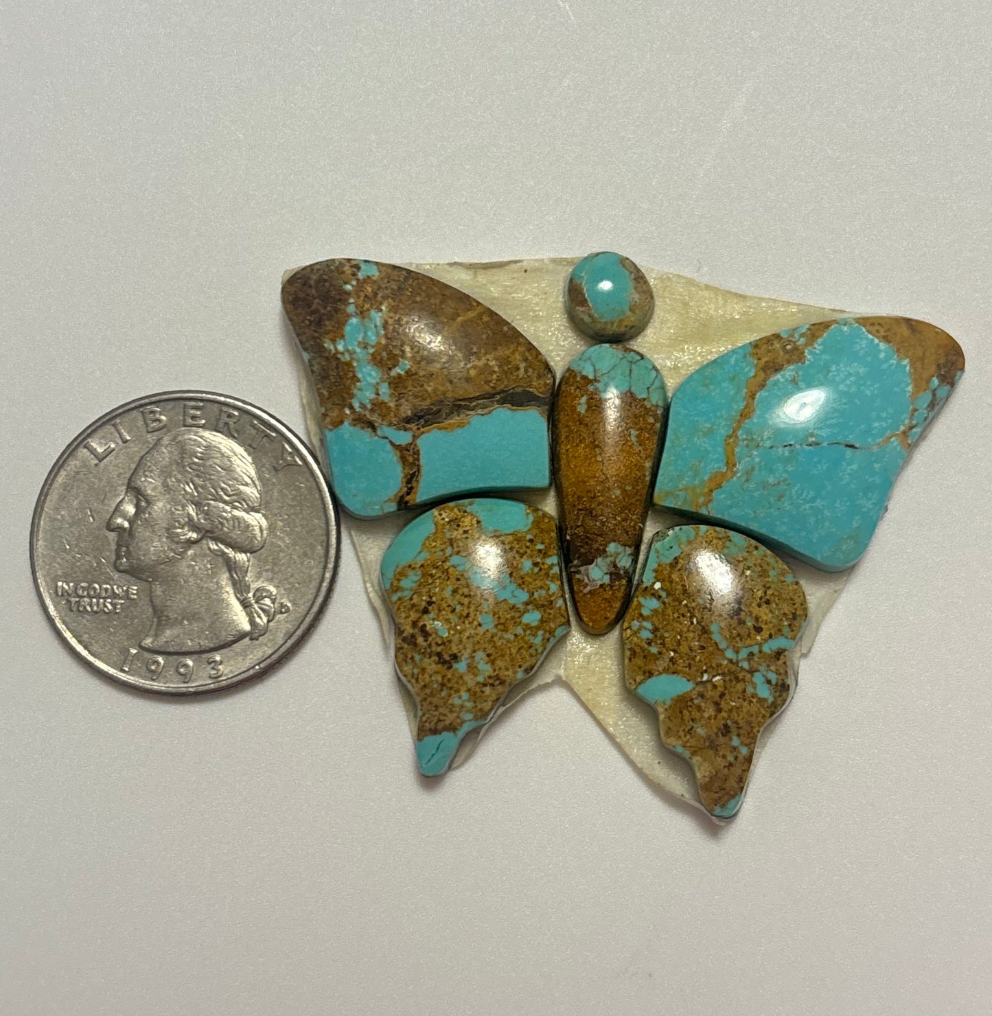Butterfly Set 17