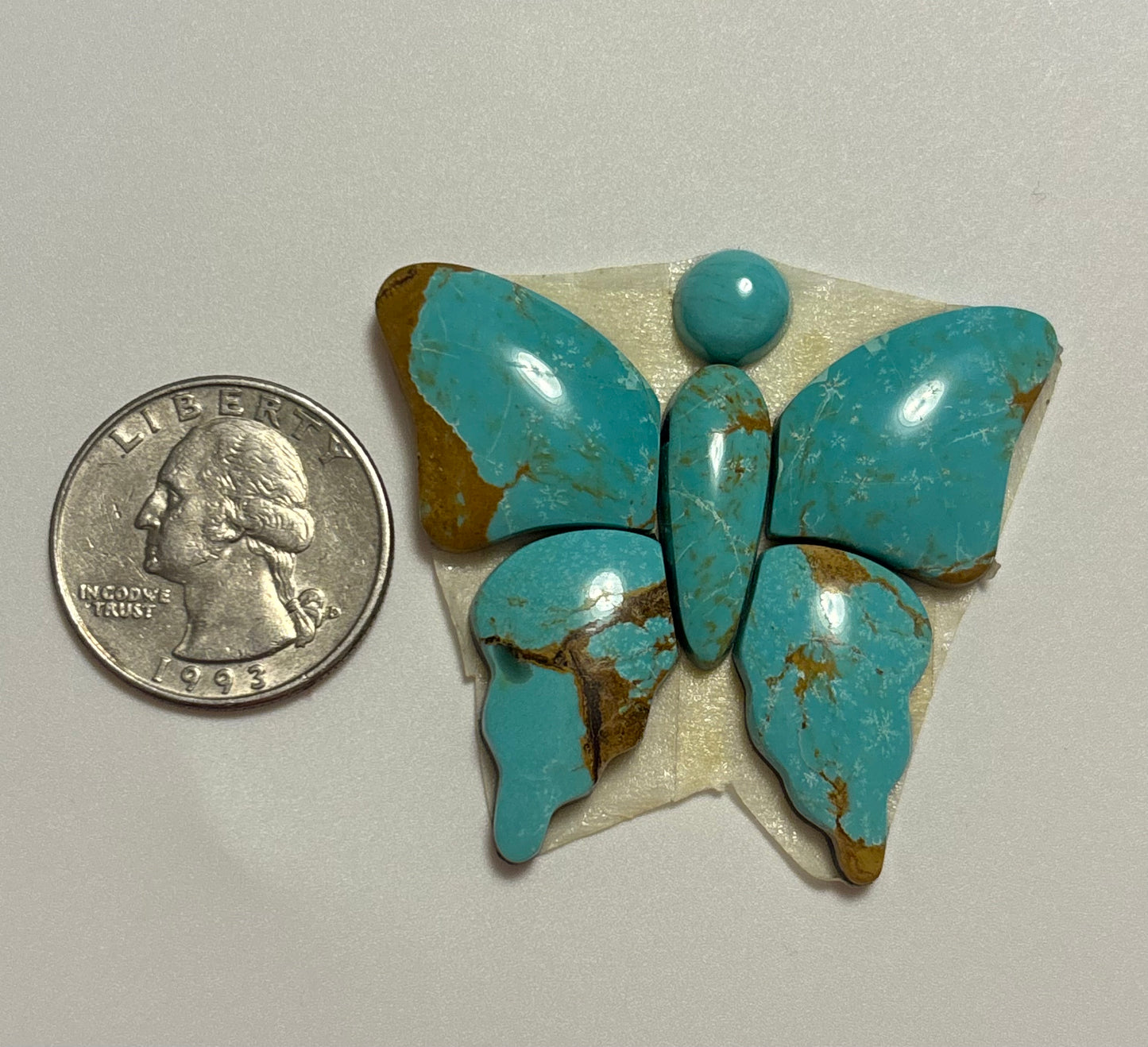 Butterfly Set 29