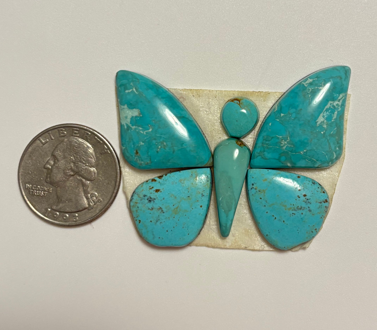Butterfly Set 5