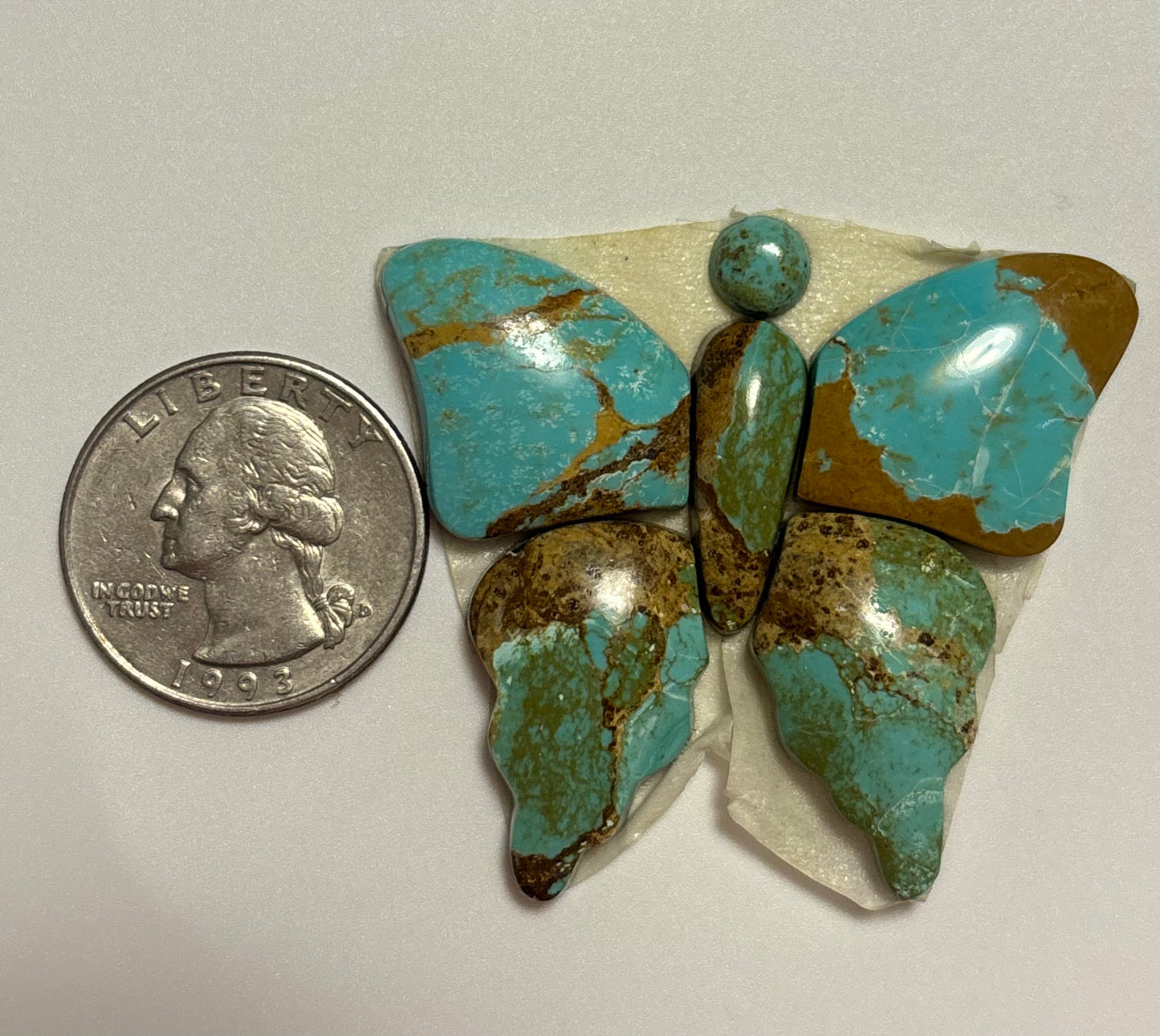 Butterfly Set 27