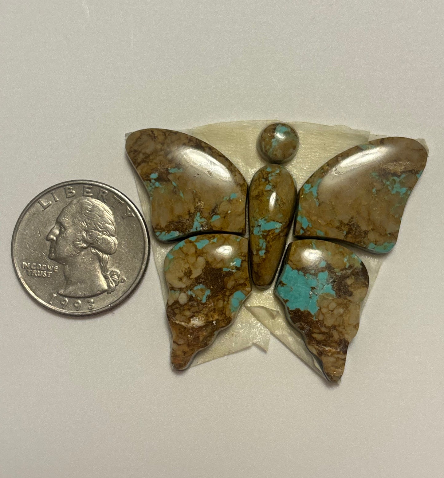 Butterfly Set 13