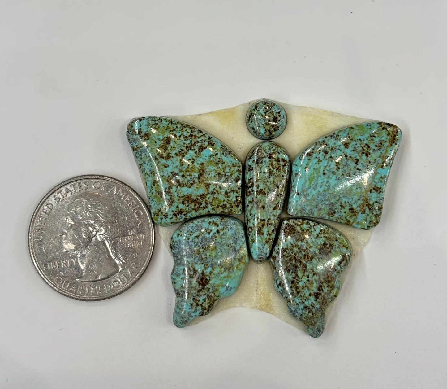 Butterfly Set 3