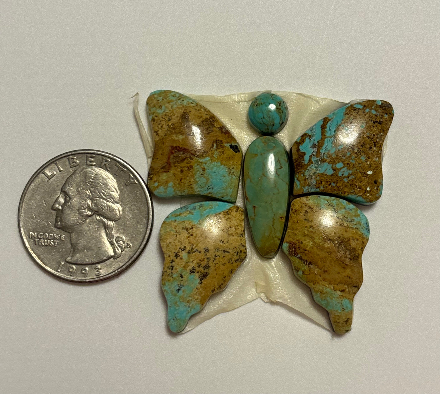 Butterfly Set 25
