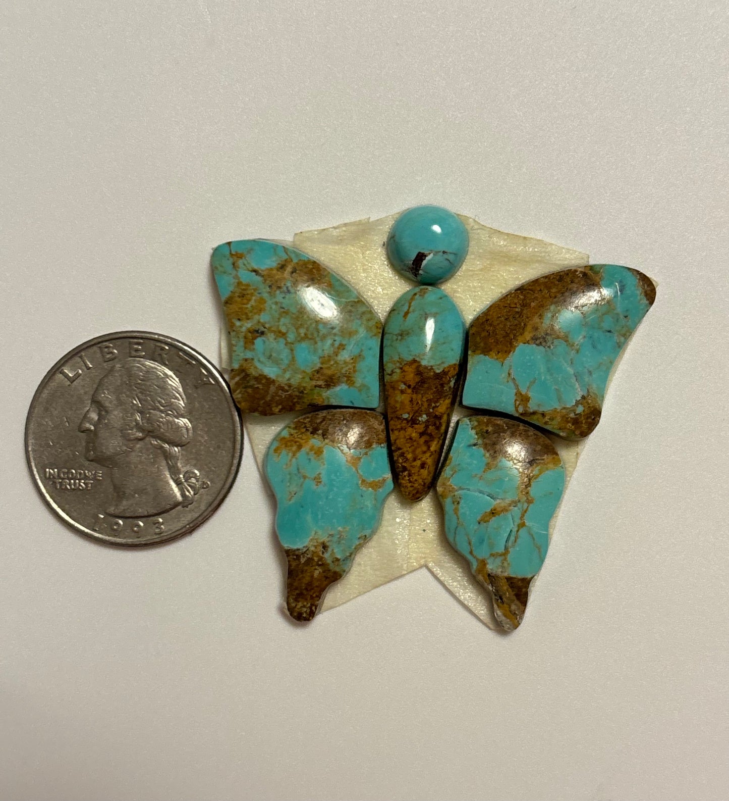 Butterfly Set 12