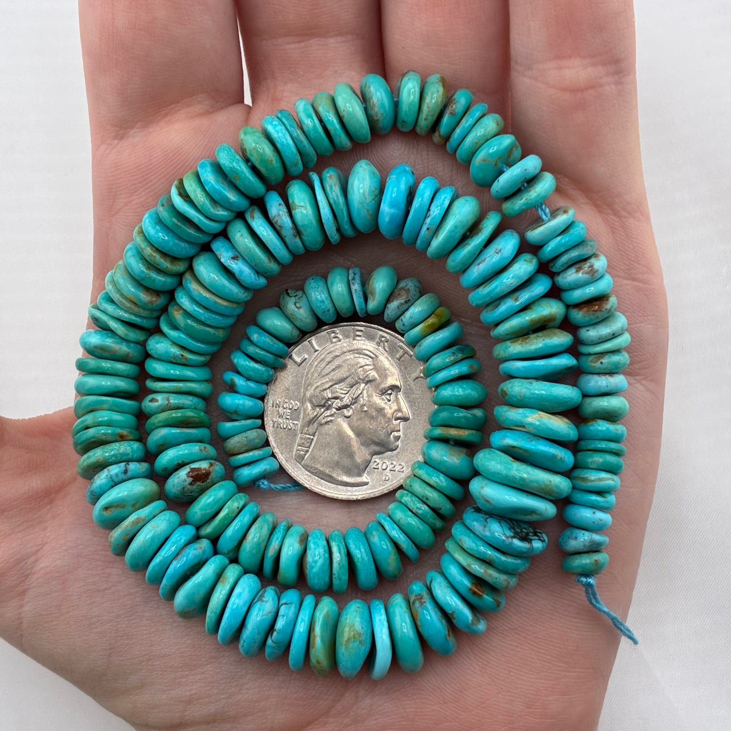 Graduated Saucer Strand