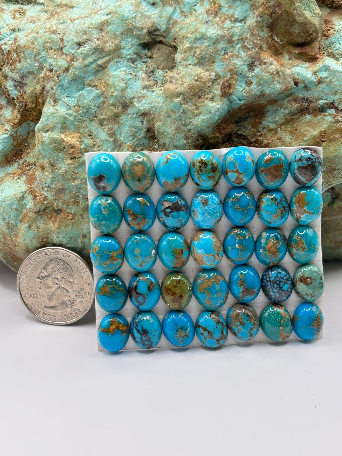 9x11 Oval Calibrated Cabs