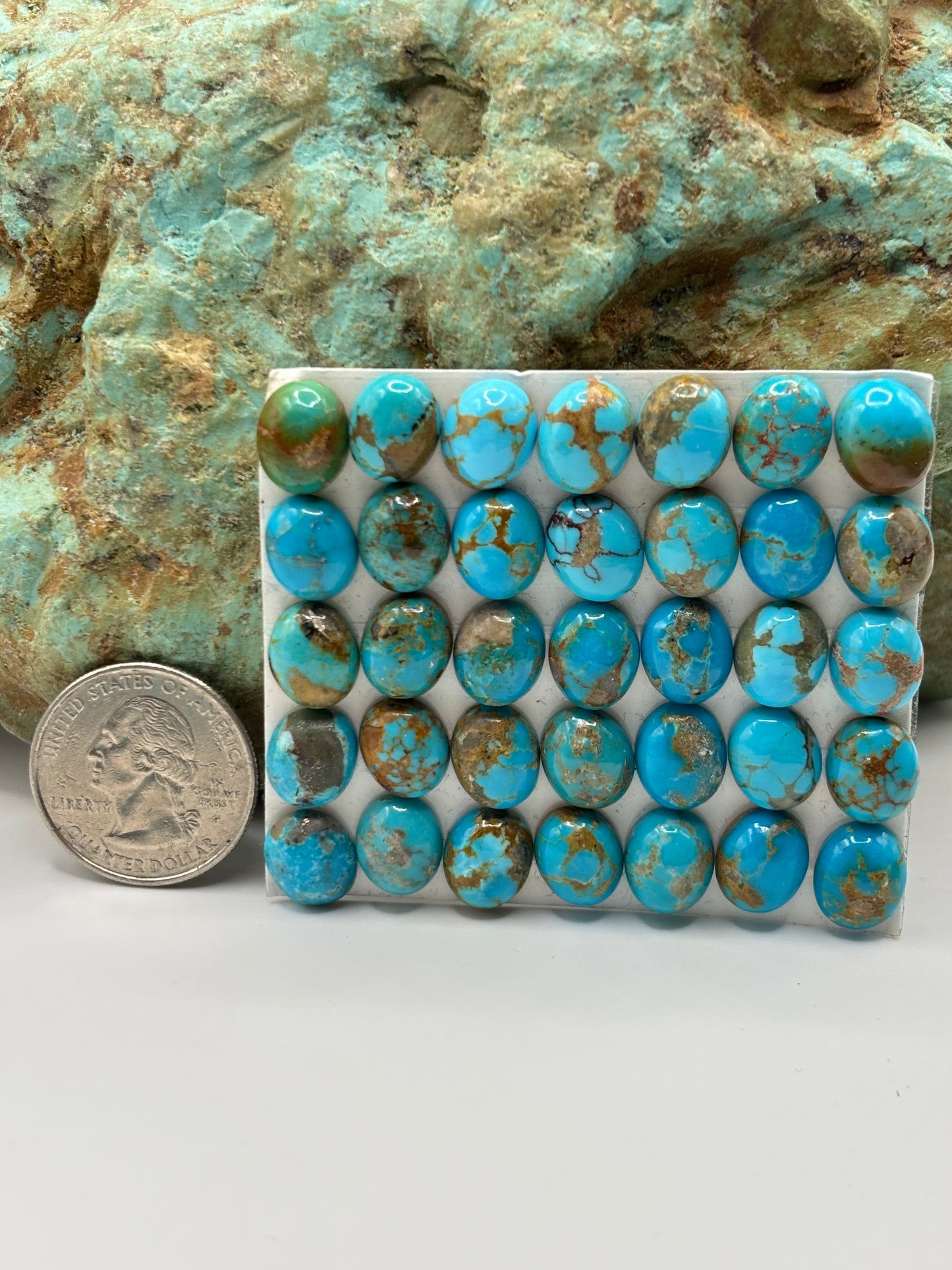 9x11 Oval Calibrated Cabs