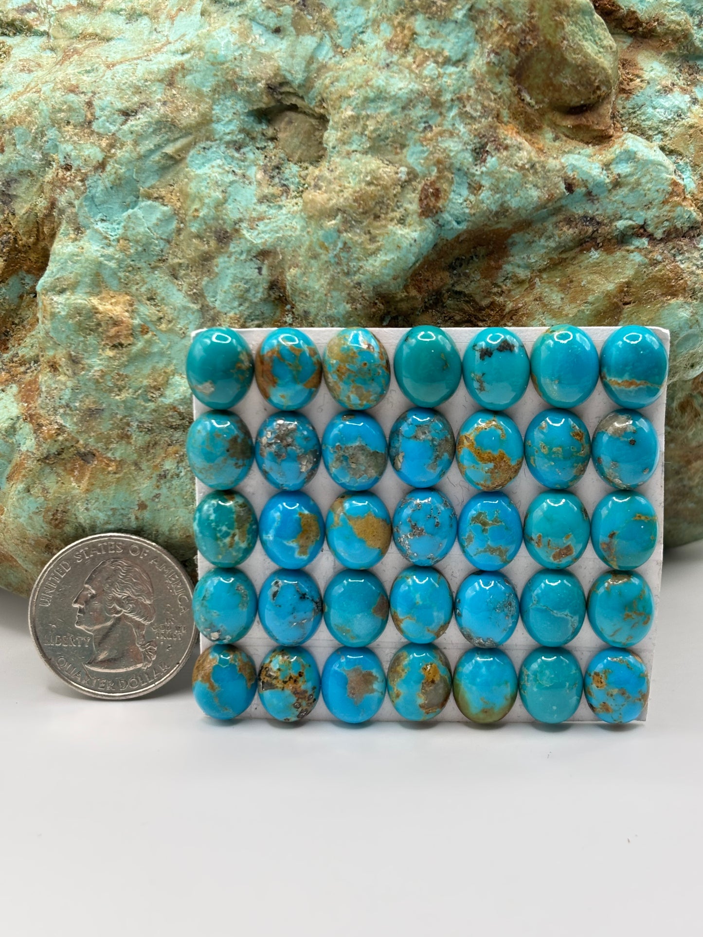 9x11 Oval Calibrated Cabs
