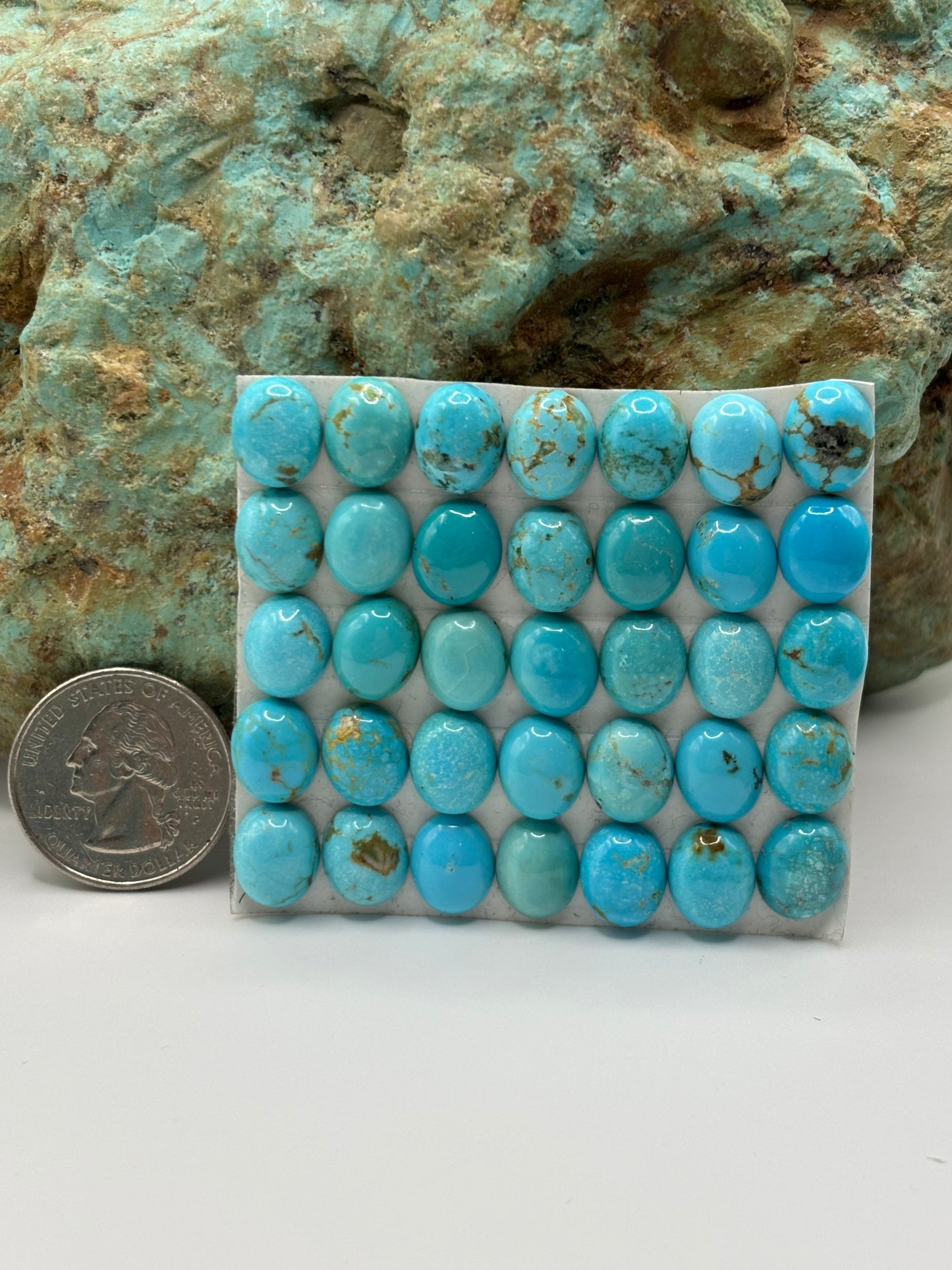 9x11 Oval Calibrated Cabs