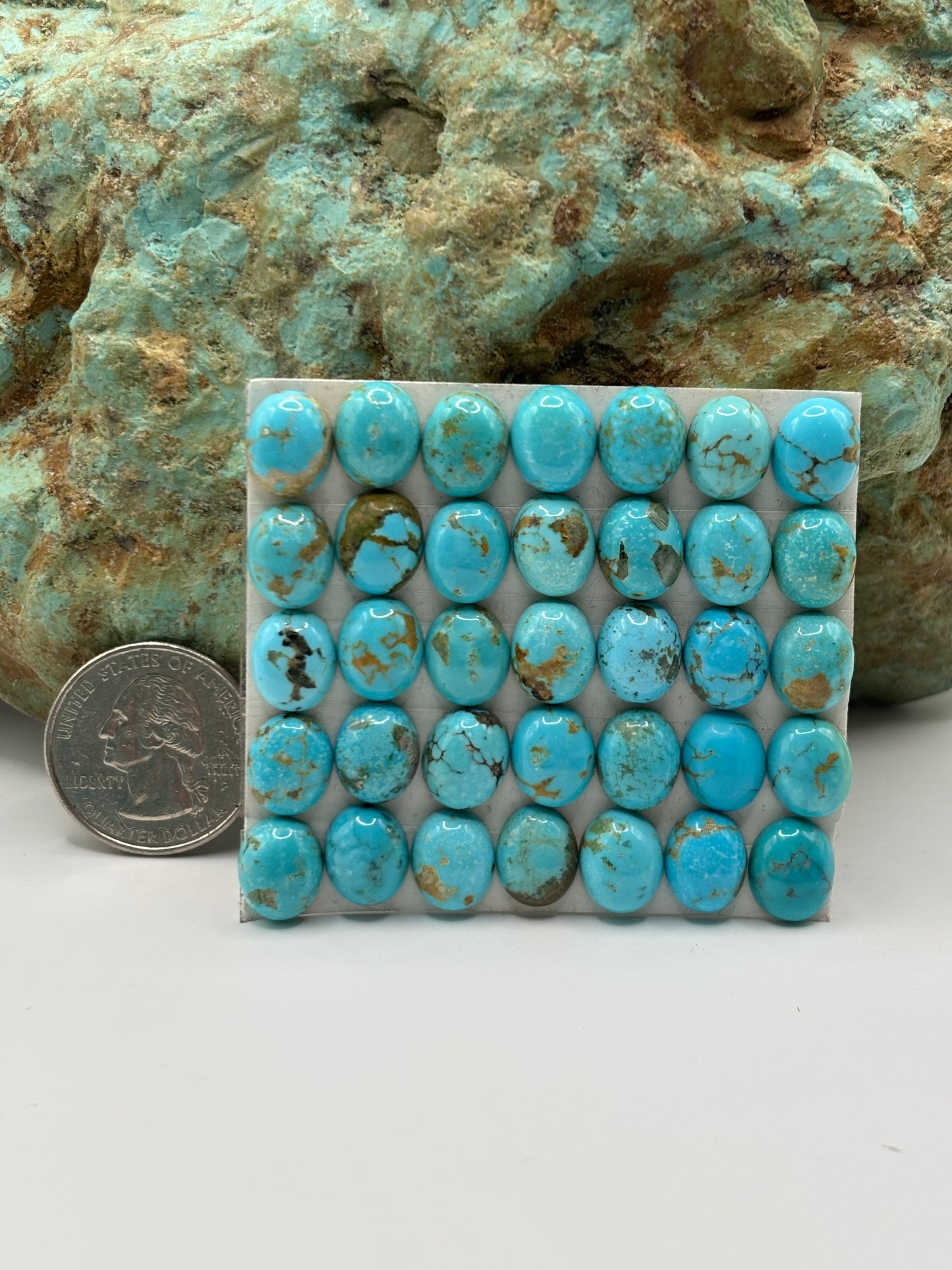 9x11 Oval Calibrated Cabs