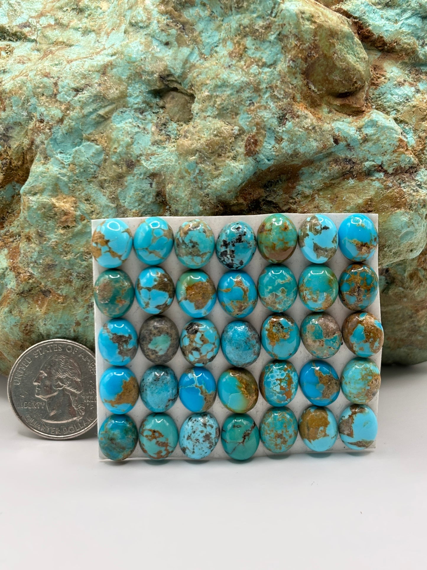 9x11 Oval calibrated Cabs