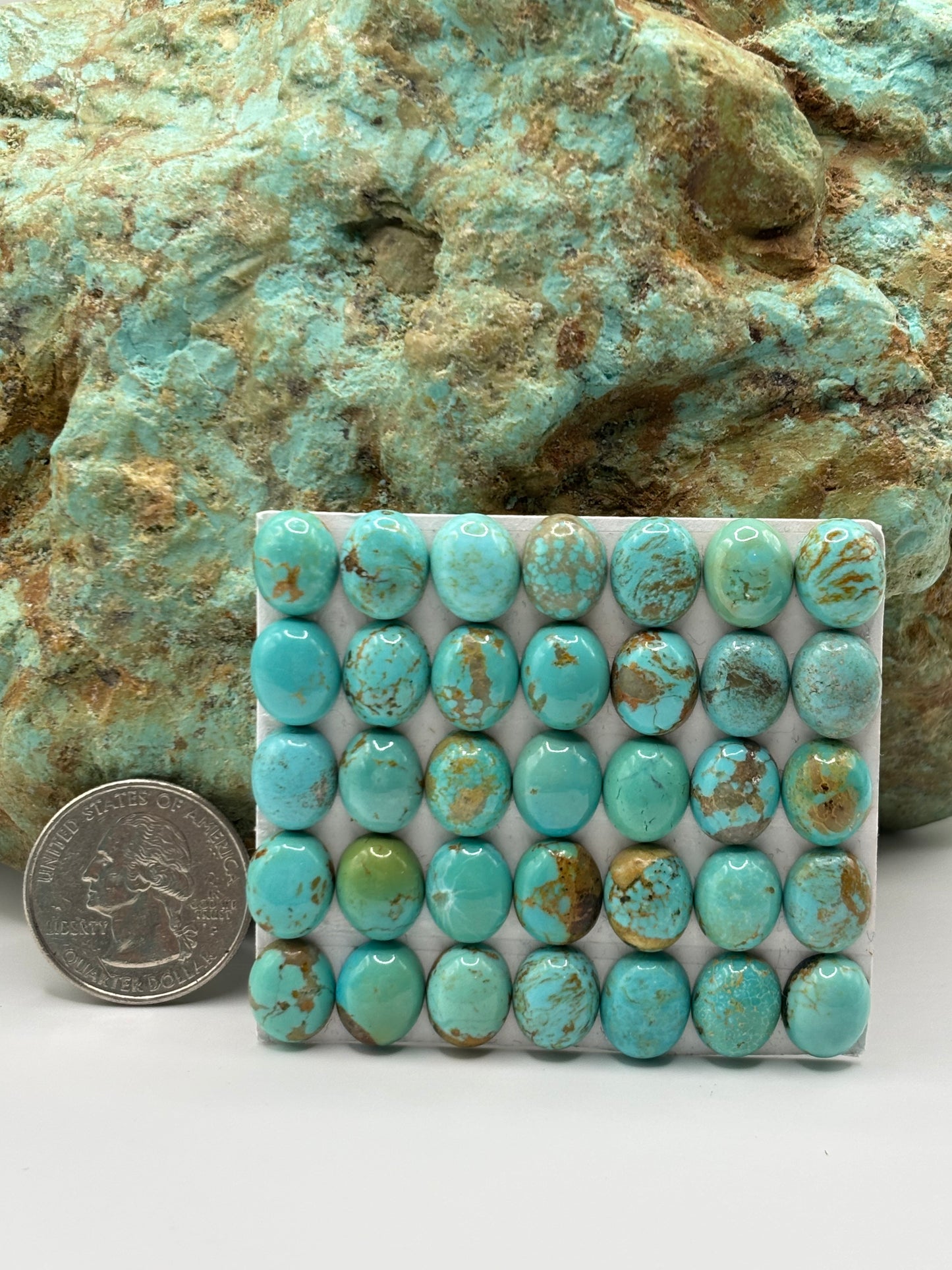 9x11 Oval Calibrated Cabs