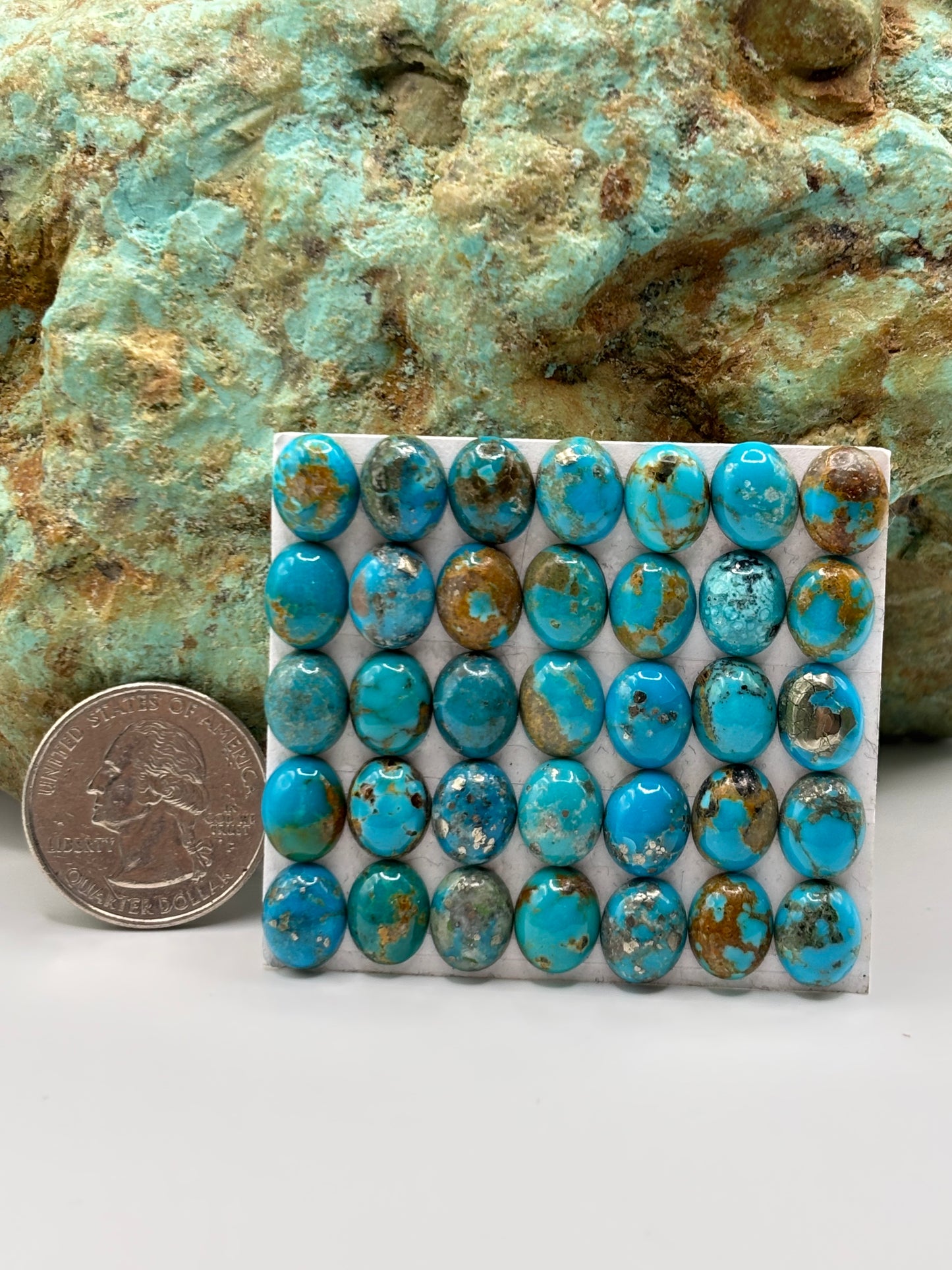 8x10 Oval Calibrated Cabs