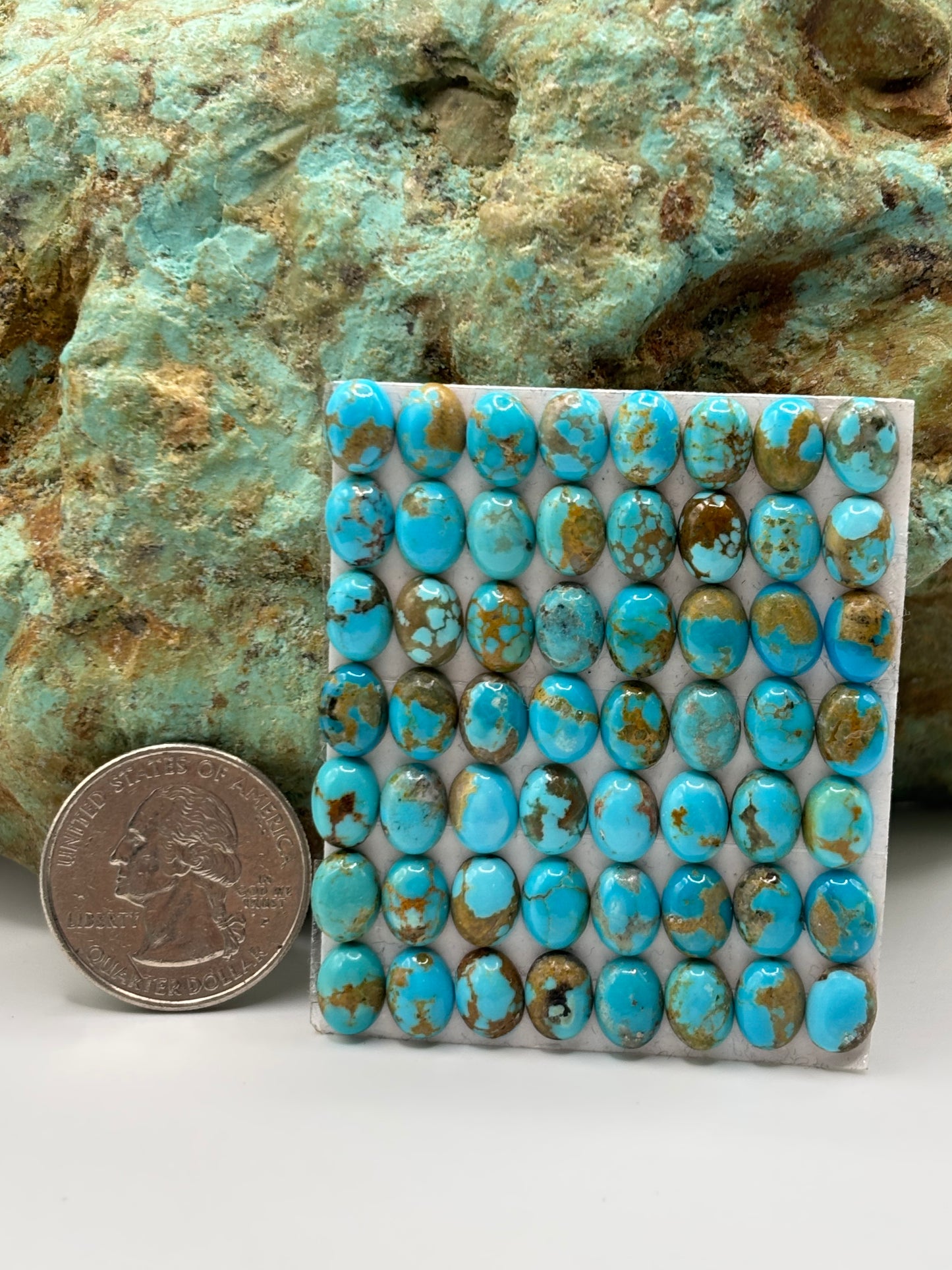 6x8 Oval Calibrated Cabs