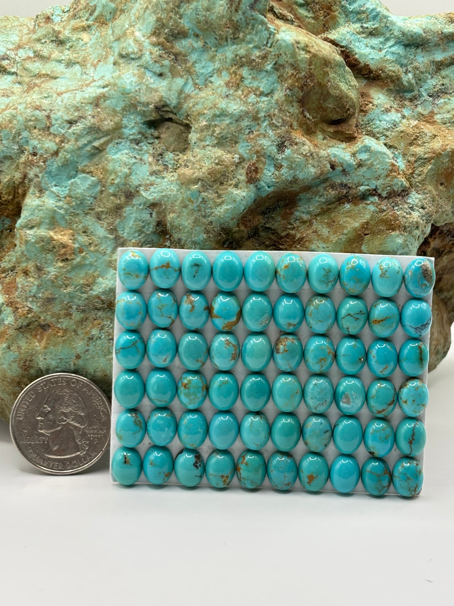 7x9 Oval Calibrated Cabs