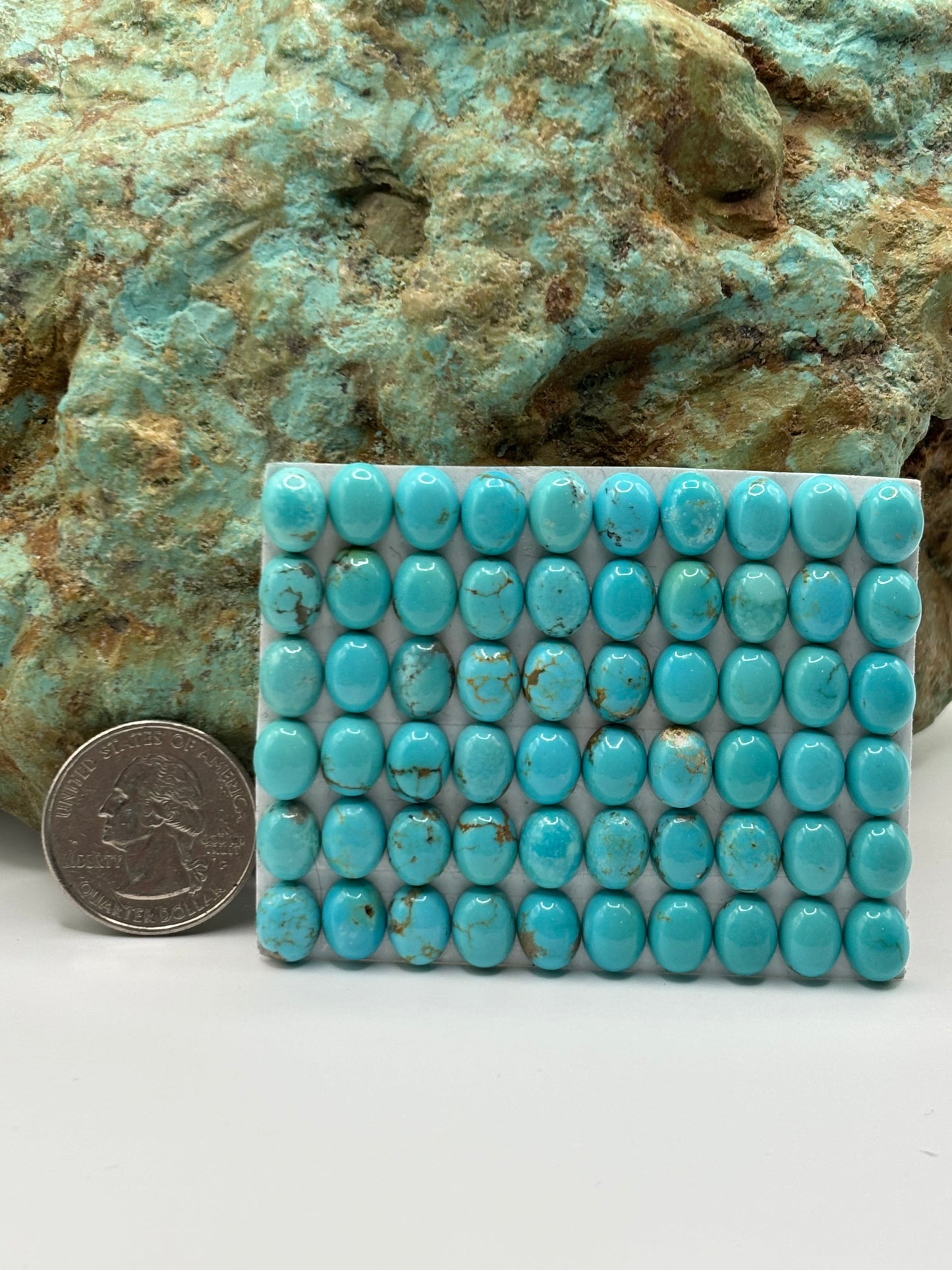 7x9 Oval Calibrated Cabs