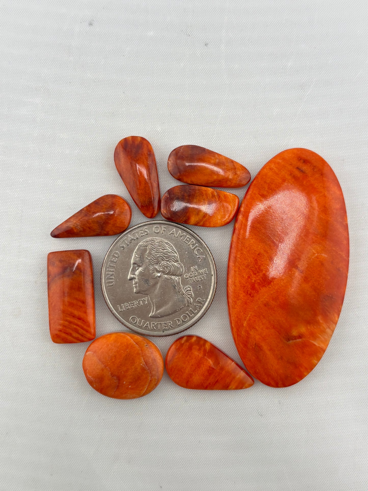 Orange Spiny Bargain Bag 2