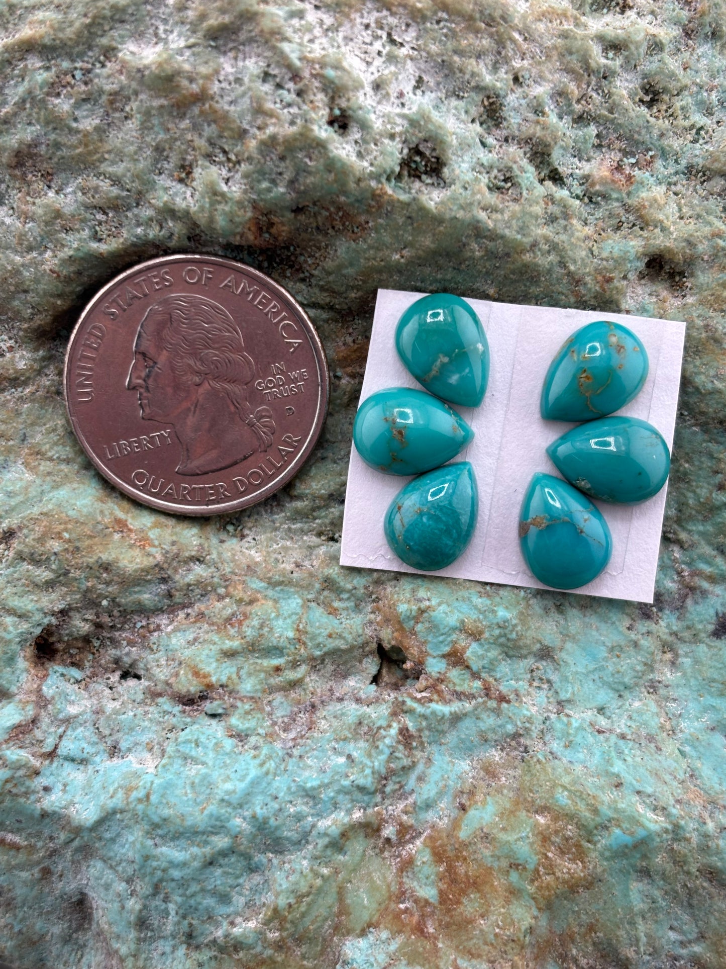 Petals 18 Calibrated Cab Set