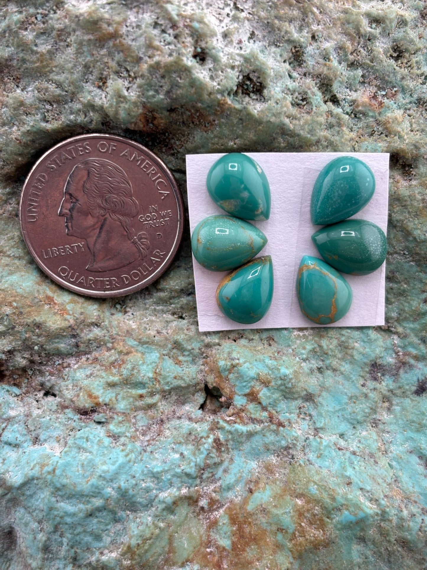 Petals 16 Calibrated Cab Set