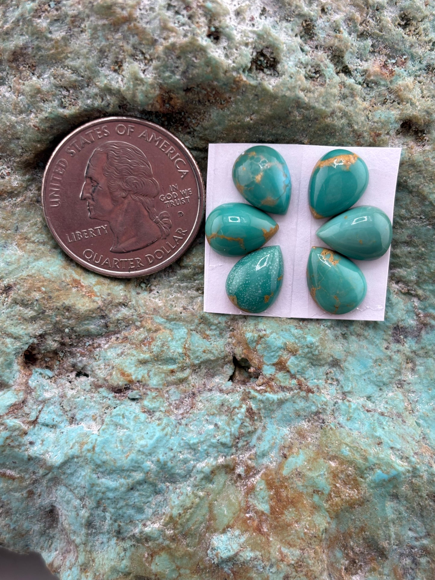 Petals 15 Calibrated Cab Set