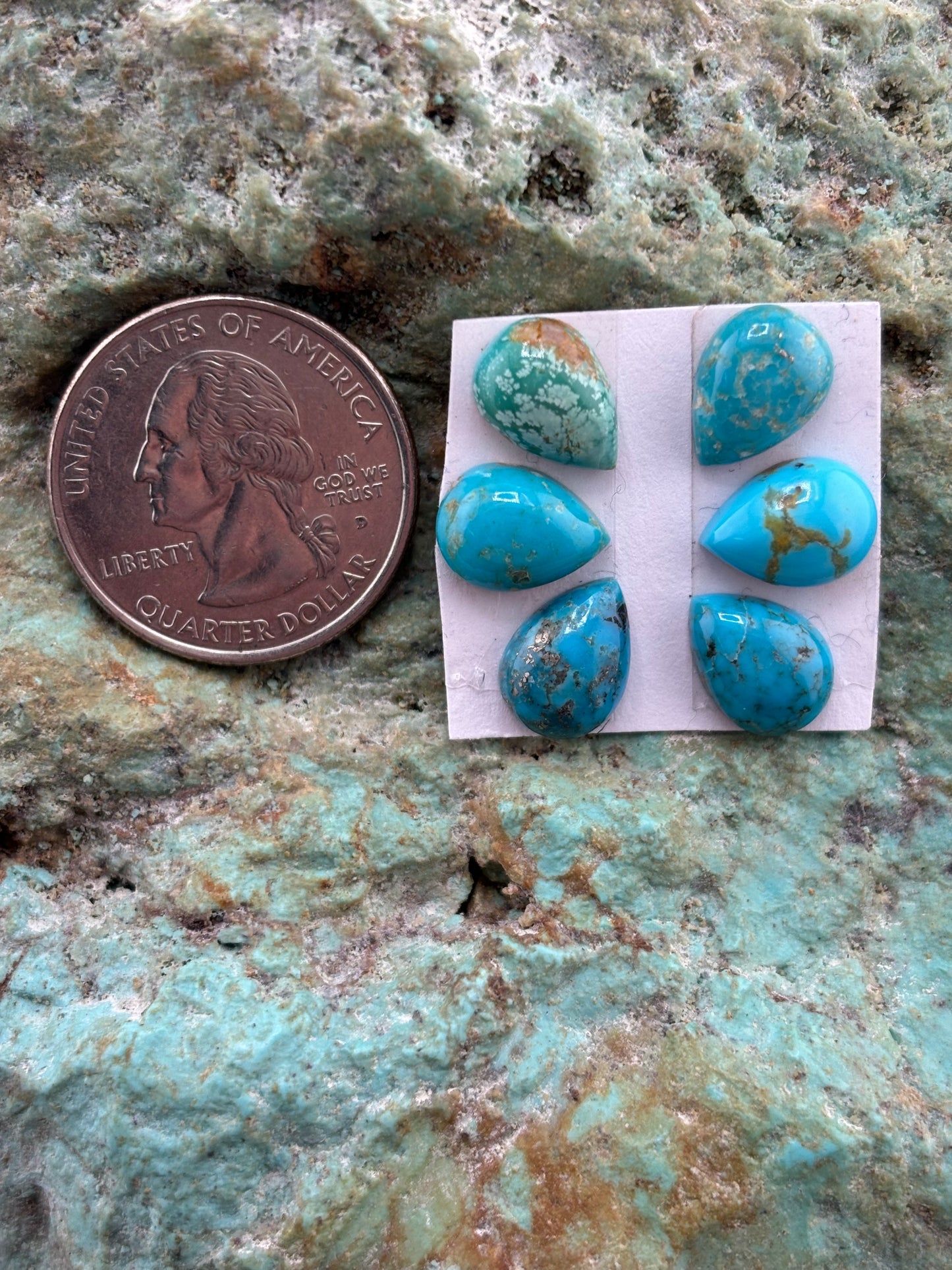 Petals 14 Calibrated Cab Set