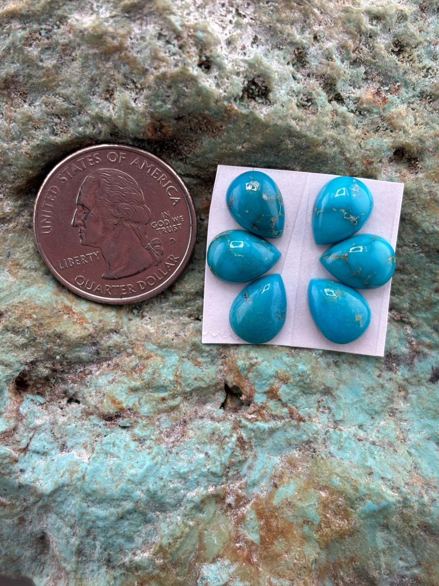 Petals 10 Calibrated Cab Set