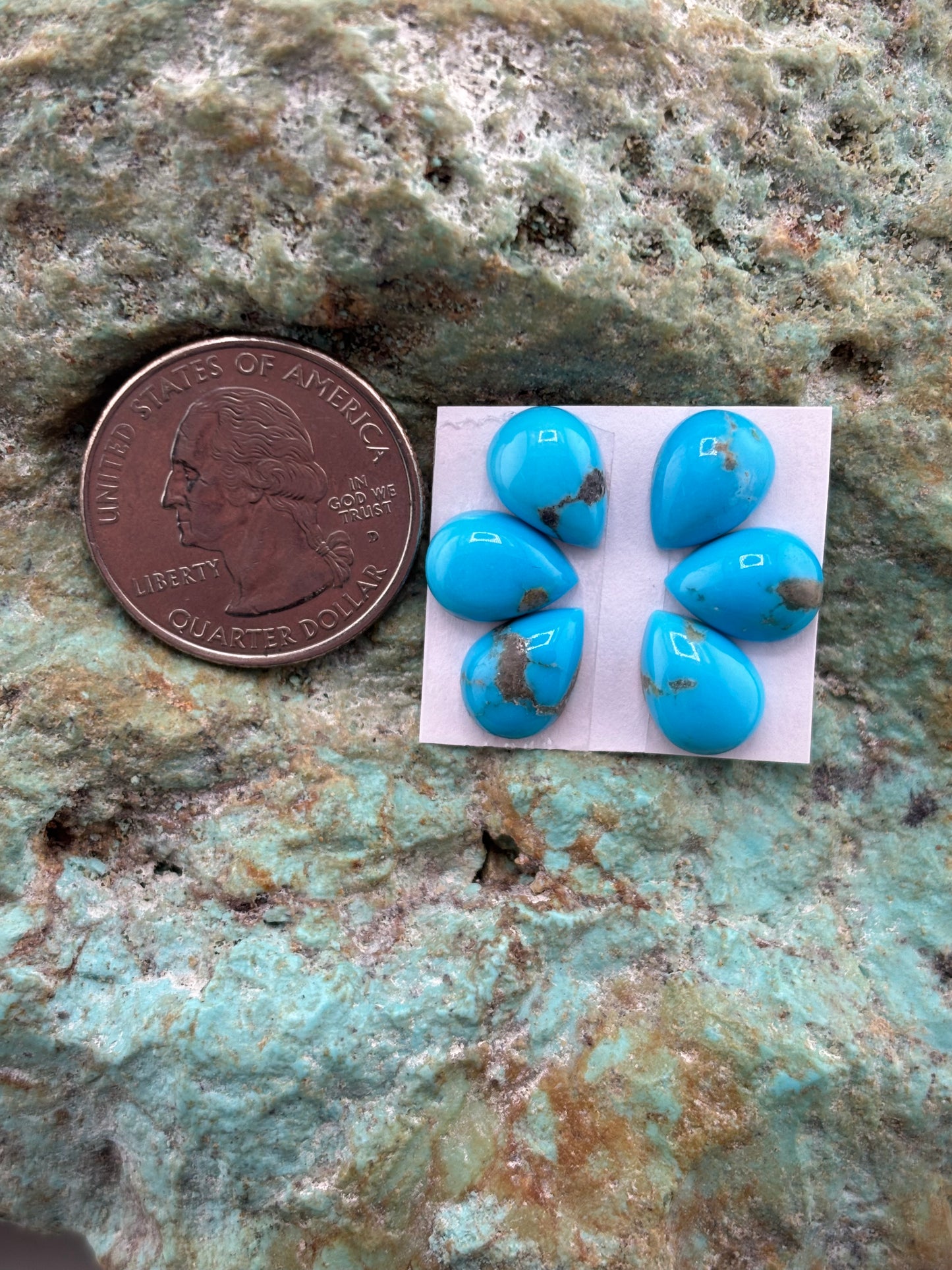 Petals 3 Calibrated Cab Set