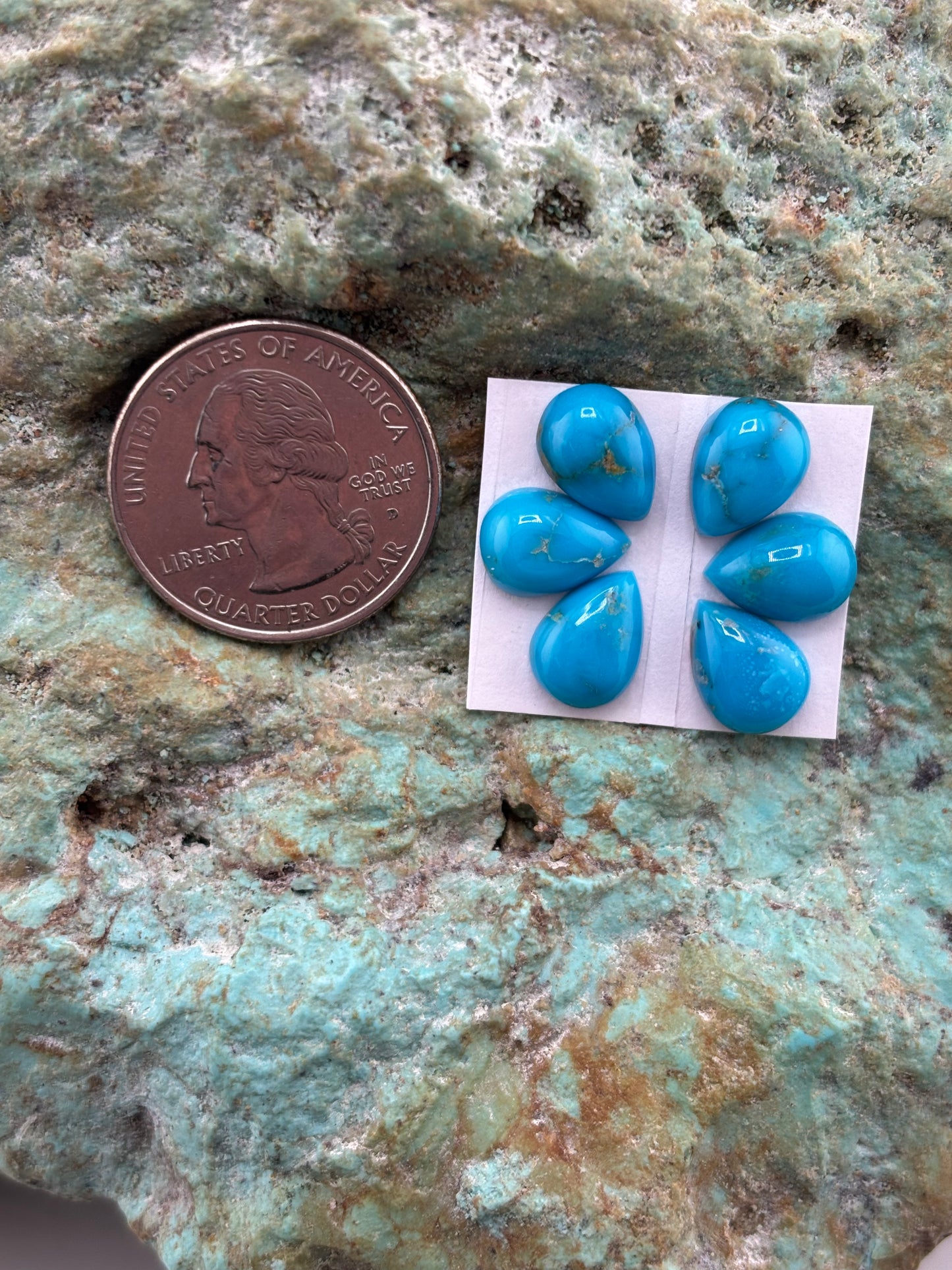 Petals 2 Calibrated Cab Set