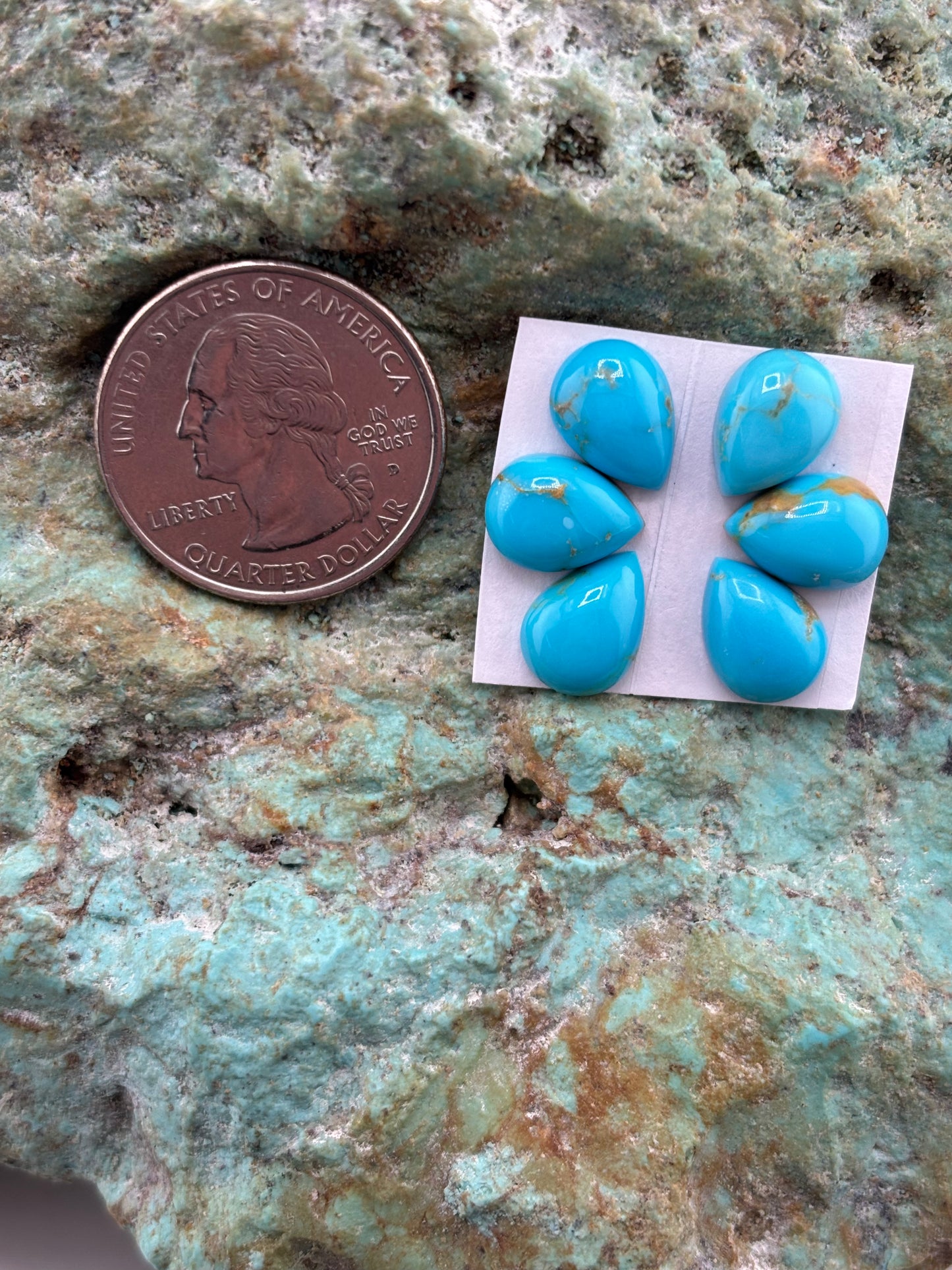 Petals 1 Calibrated Cab Set