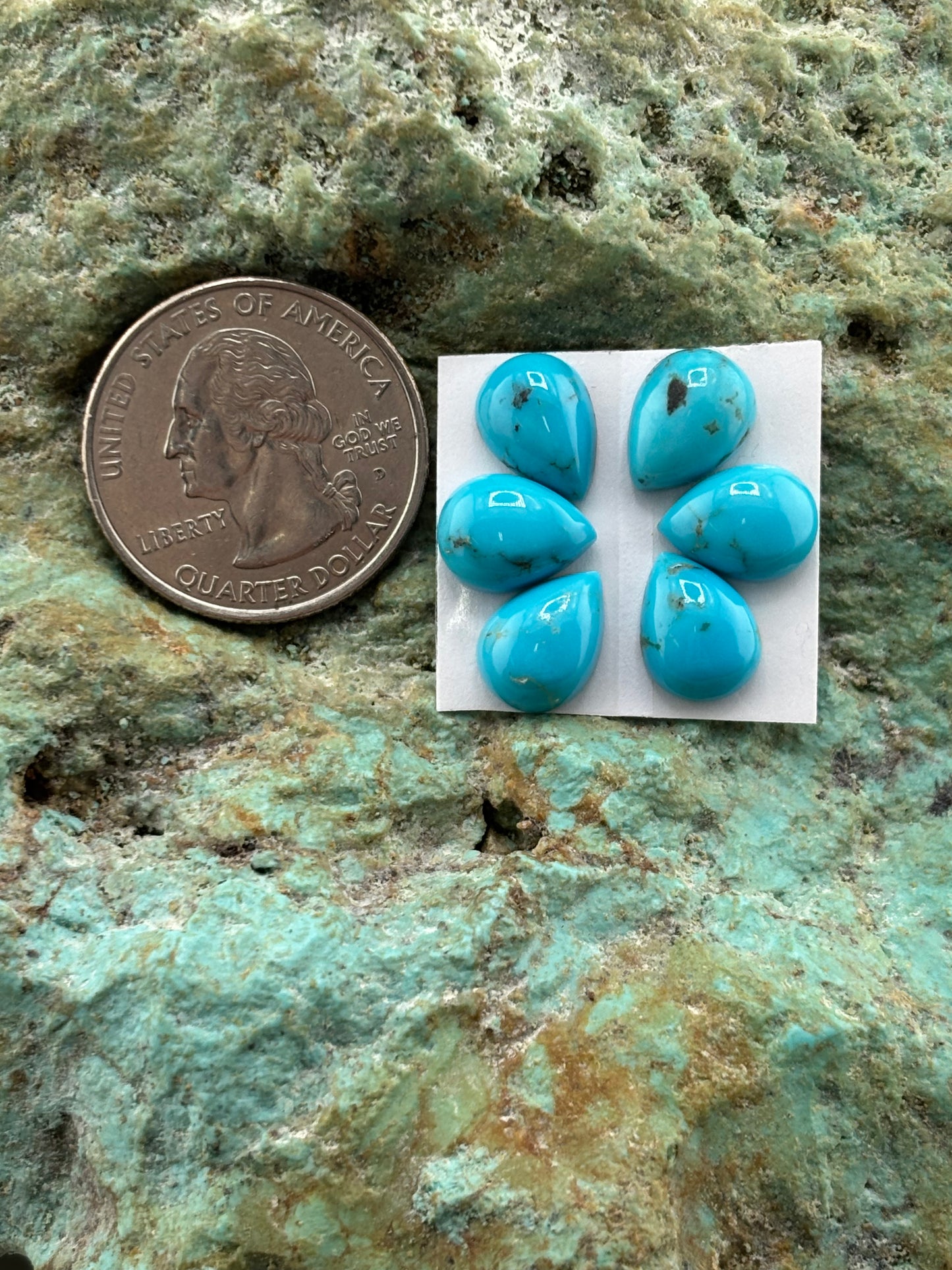 Petals 8 Calibrated Cab Set
