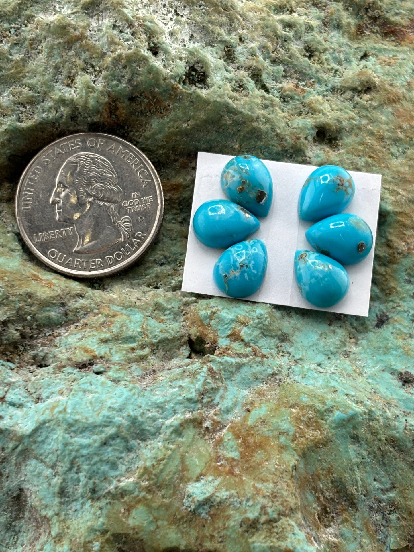 Petals 22 Calibrated Cab Set
